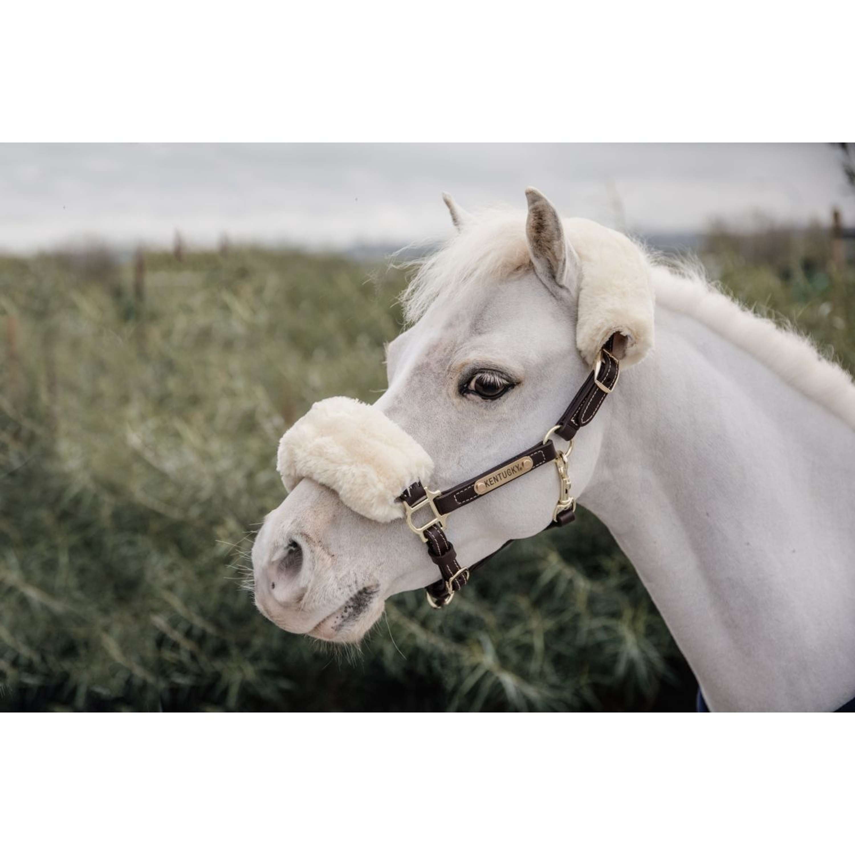 Kentucky Leather Halter Leather with Sheepskin