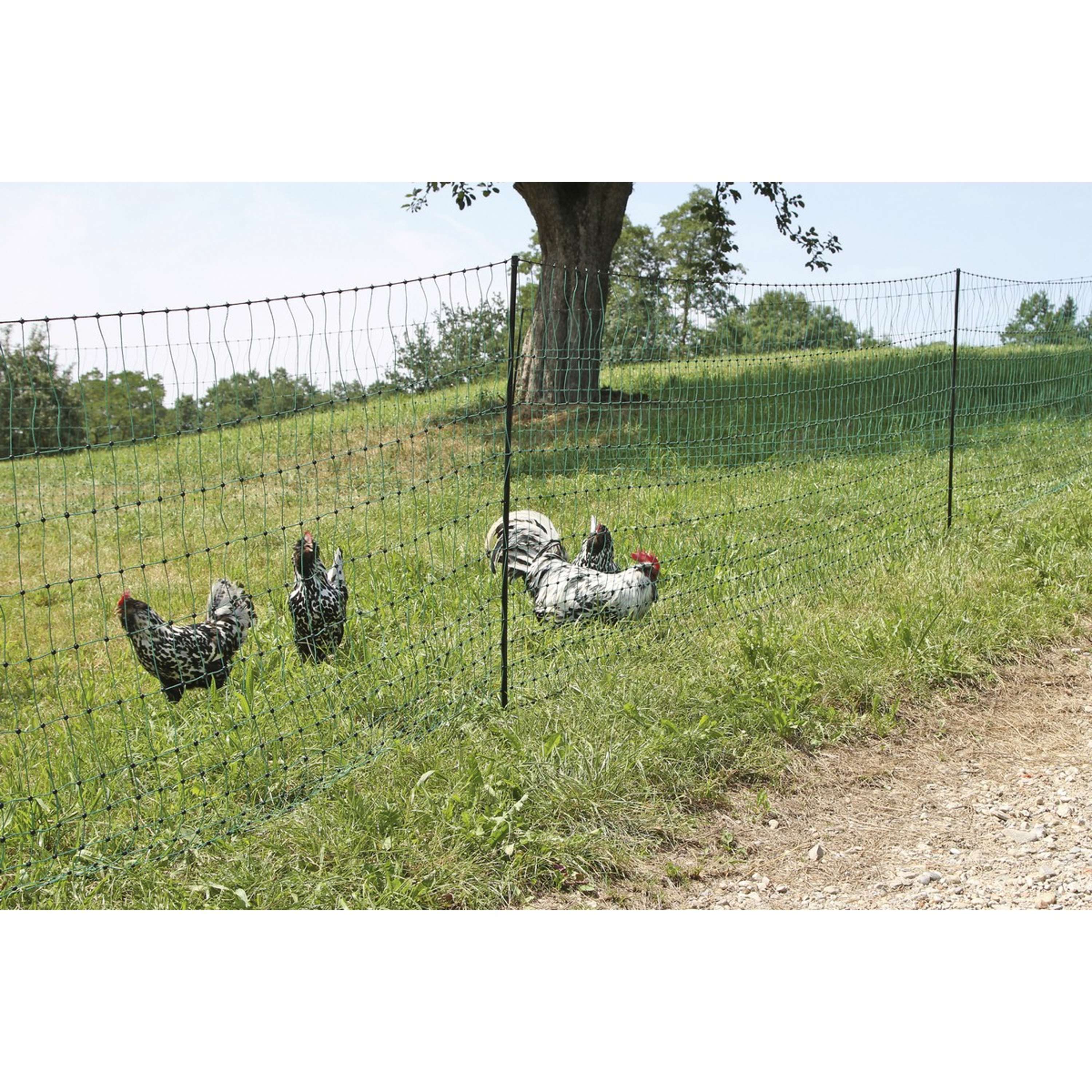 Ako Poultry Net Double Pen Green