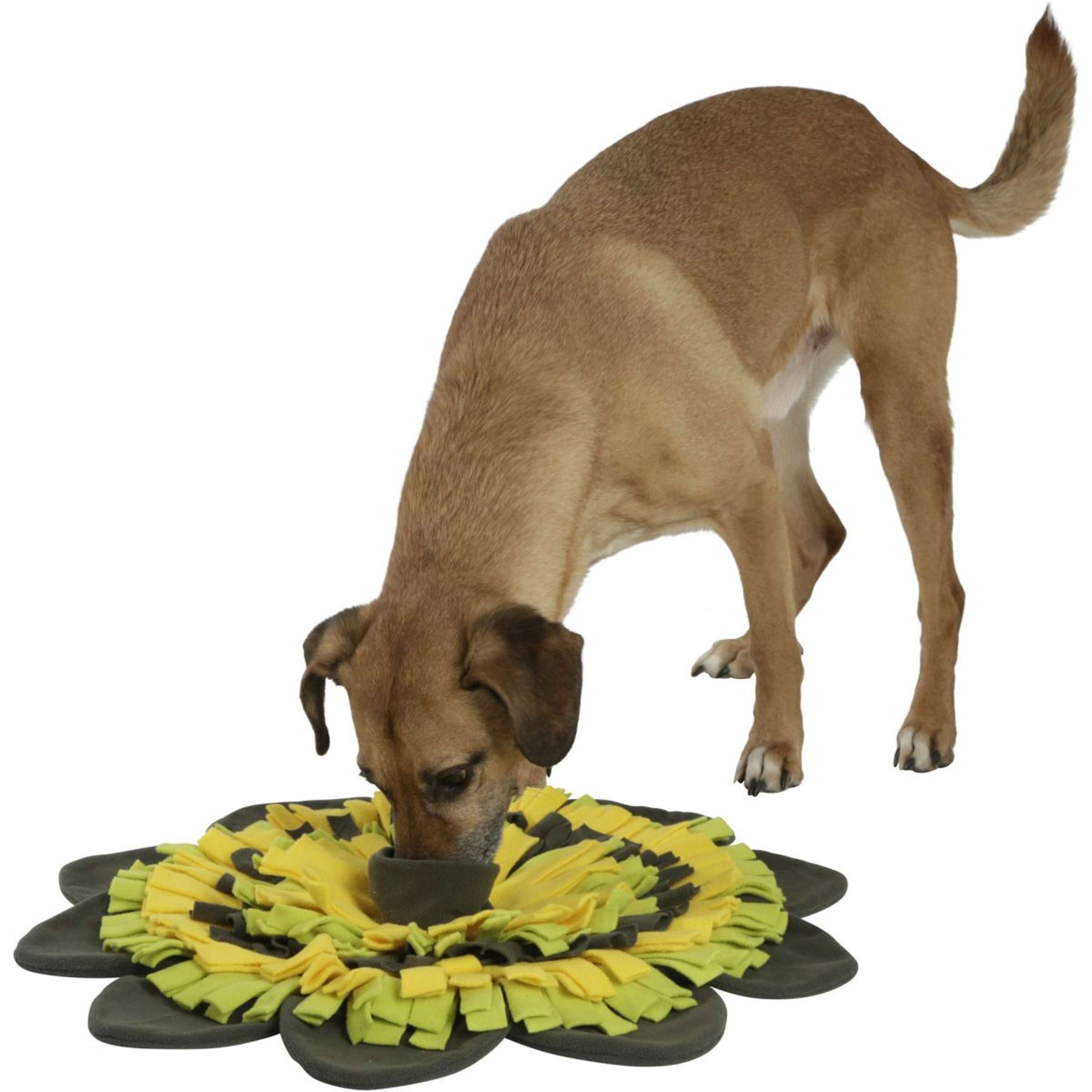 Kerbl Sniffing Mat Sunflower Yellow/Green