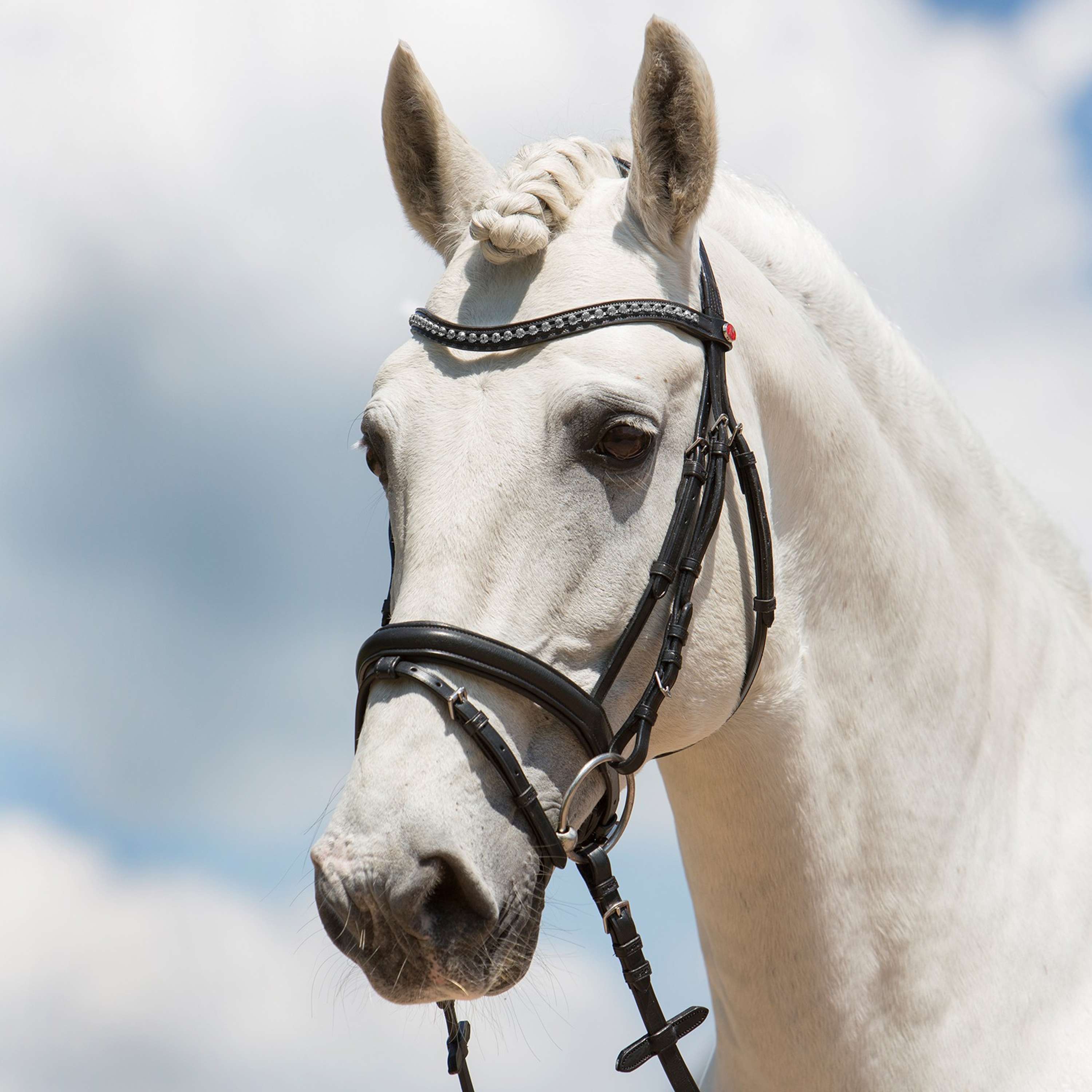 Kieffer Snaffle Bridle Fashion Ultrasoft English Black