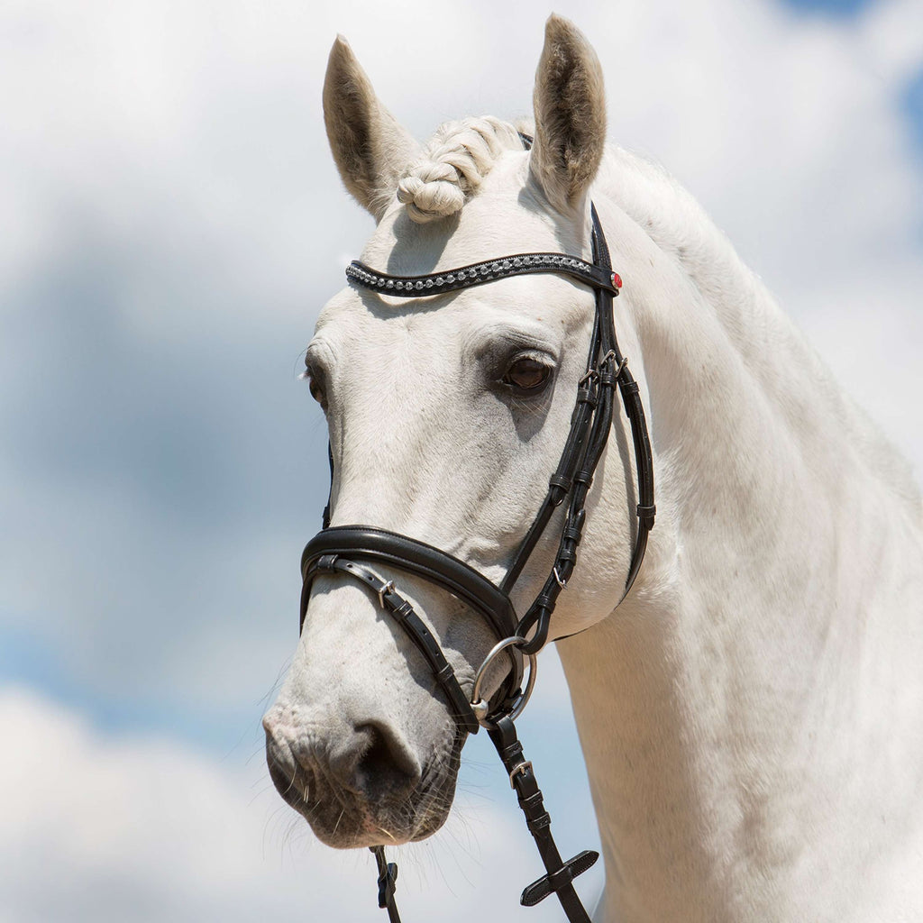 Kieffer Snaffle Bridle Fashion Ultrasoft English Black