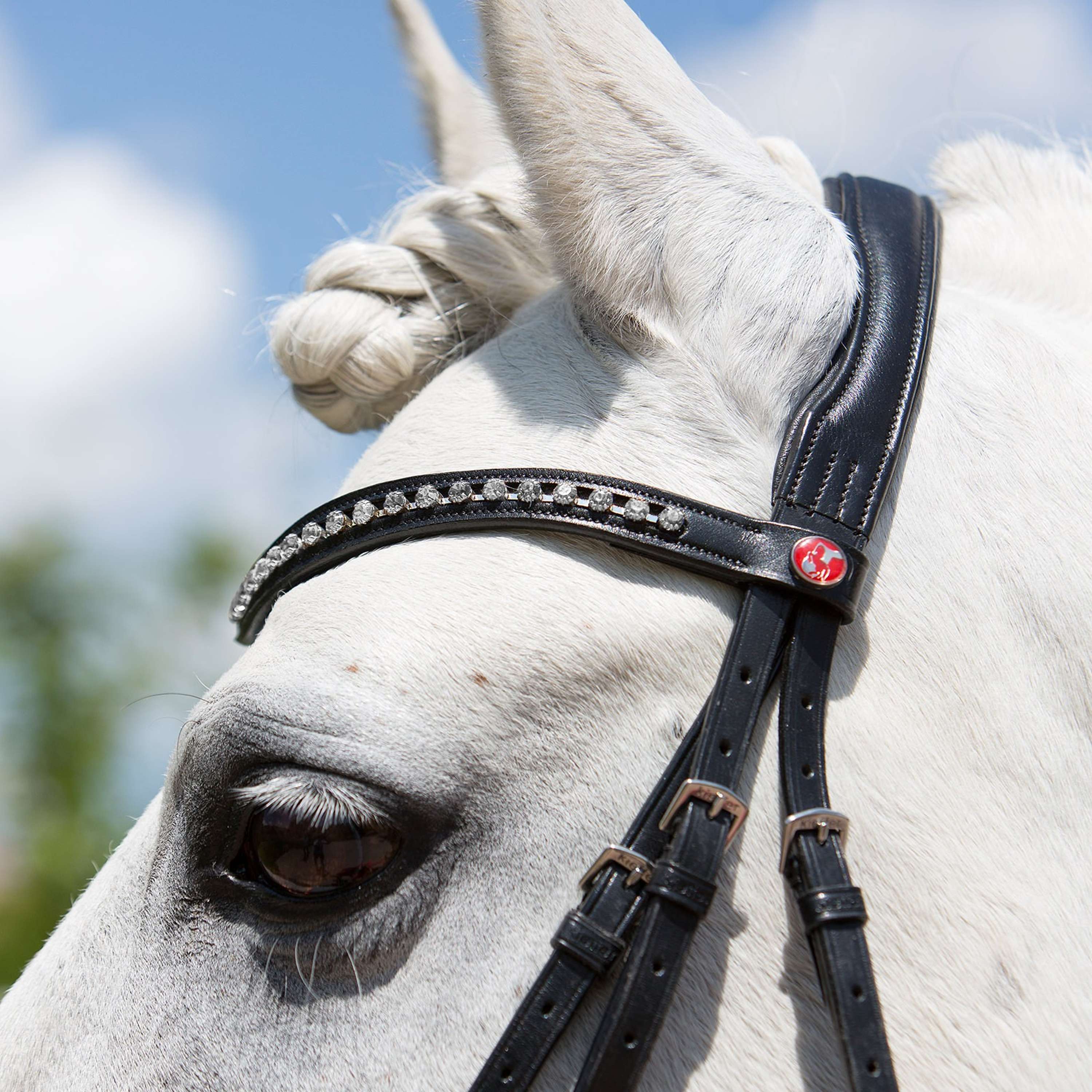 Kieffer Snaffle Bridle Fashion Ultrasoft English Black