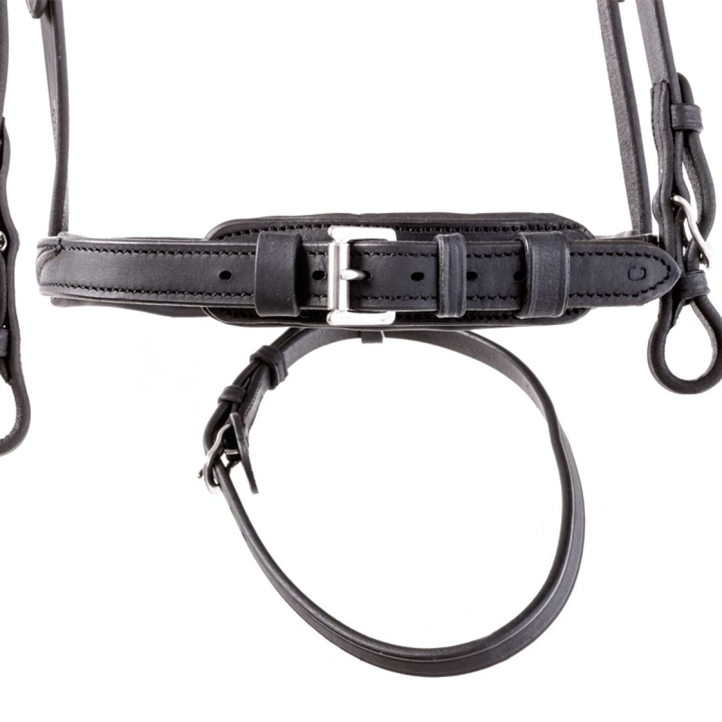 Kavalkade Bridle Everness Black