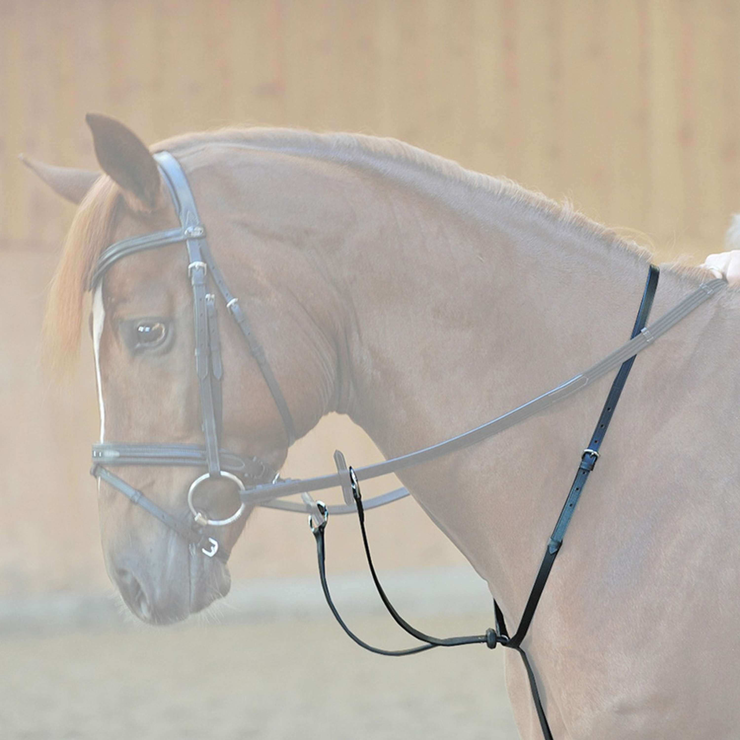 Kavalkade Martingale with a Stopper Black