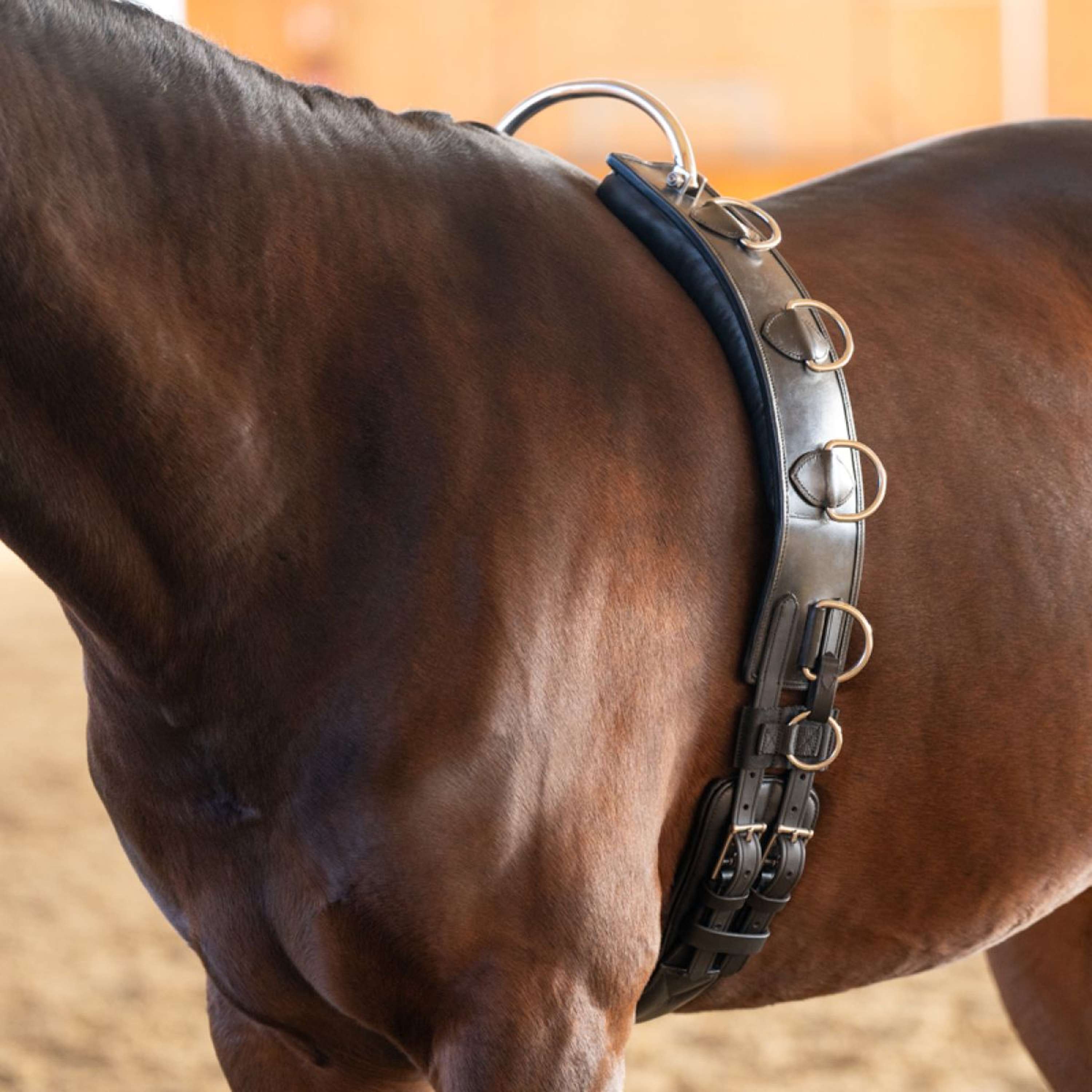 Kavalkade Lunging Girth Frame Black