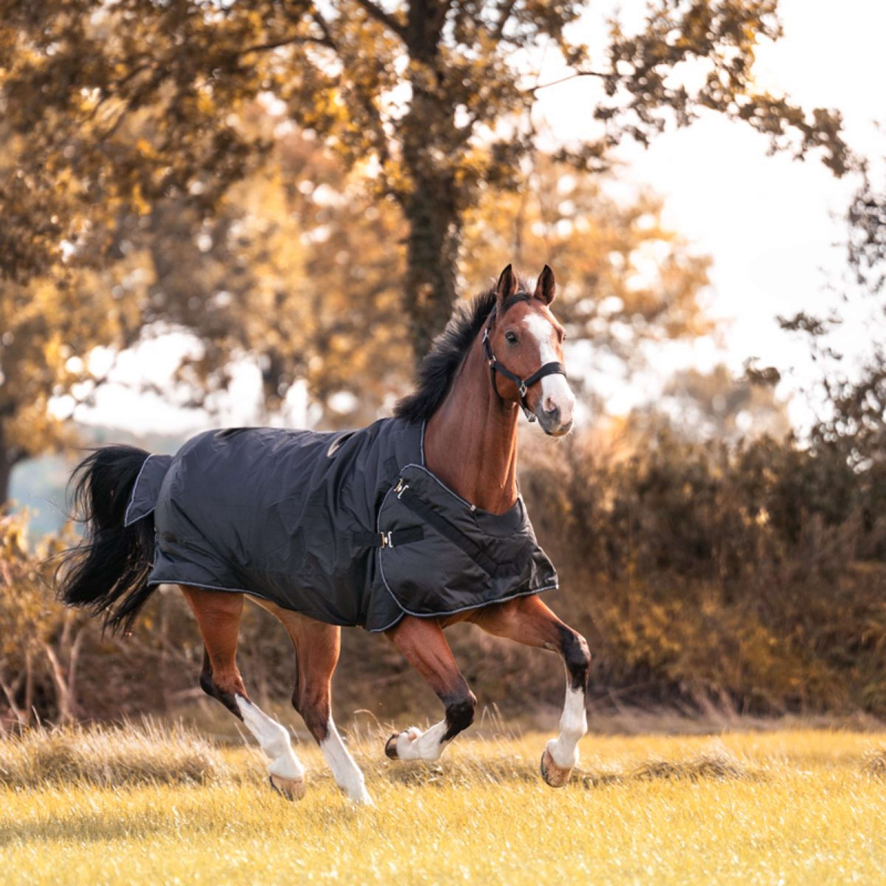 Kavalkade Turnout / Step Mill Rug Halifax 2in1 50g Black