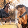 Kavalkade Turnout / Step Mill Rug Halifax 2in1 50g Black