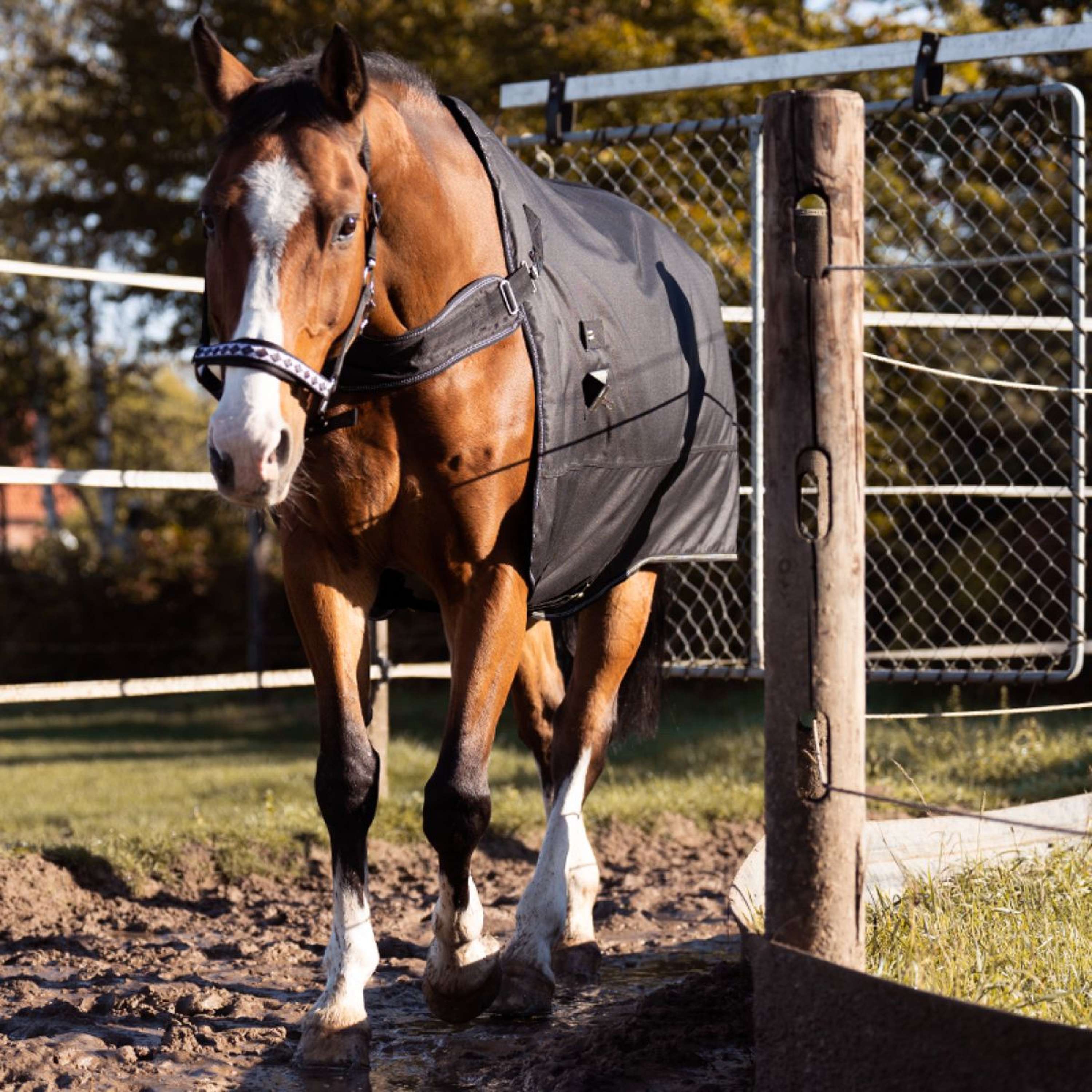 Kavalkade Turnout / Step Mill Rug Halifax 2in1 200g Black