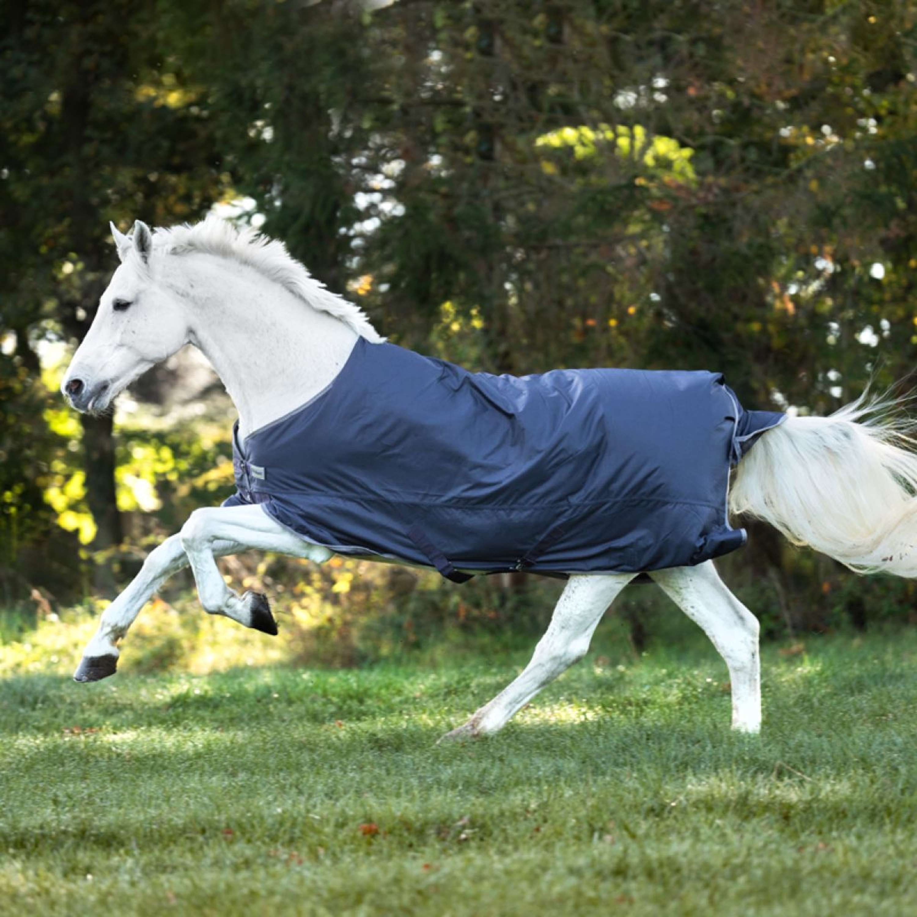 Kavalkade Outdoor Rug Winnipeg 200g Navy