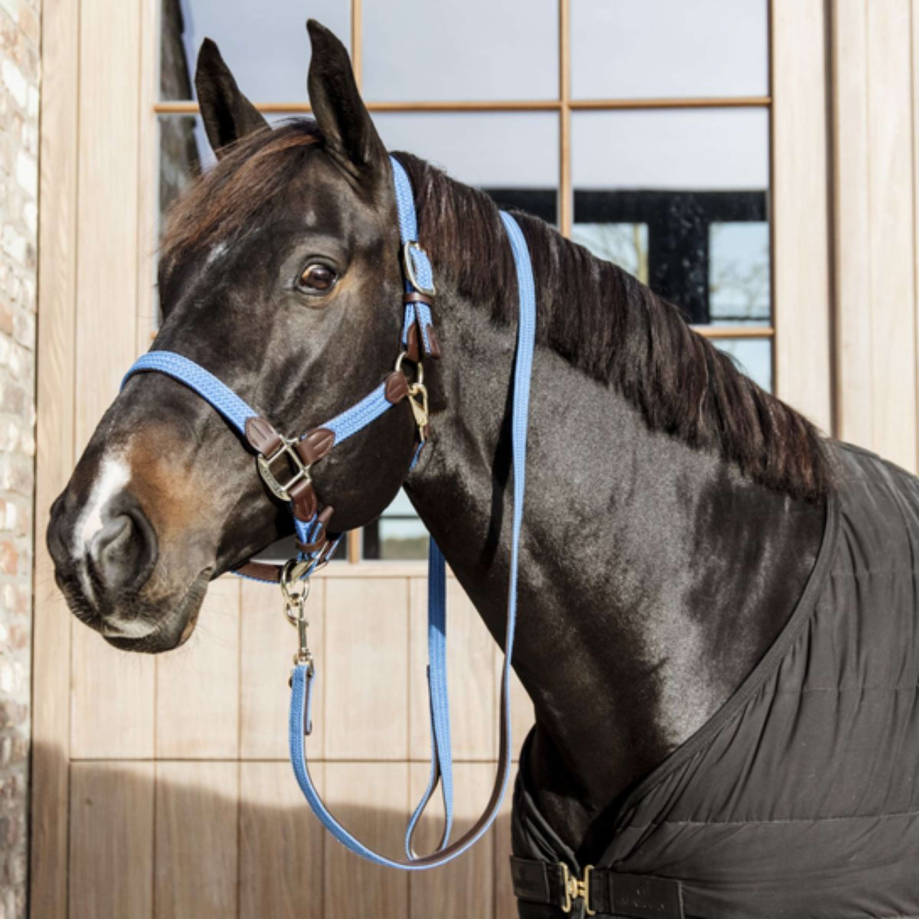 Kentucky Halter Braided Nylon Lightblue