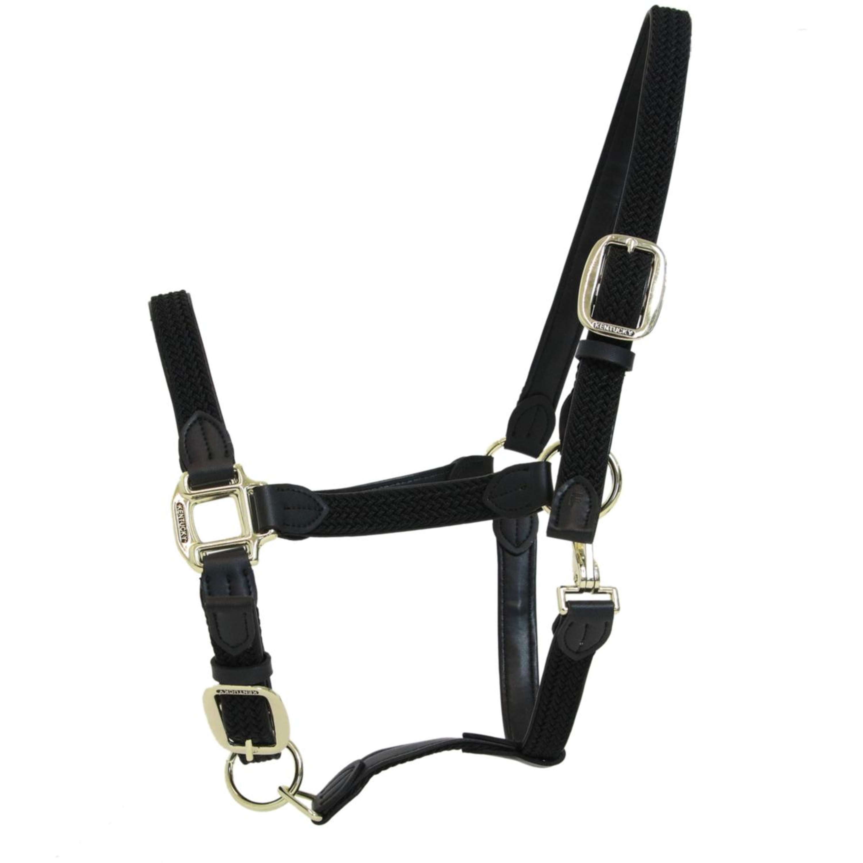 Kentucky Halter Braided Nylon Black