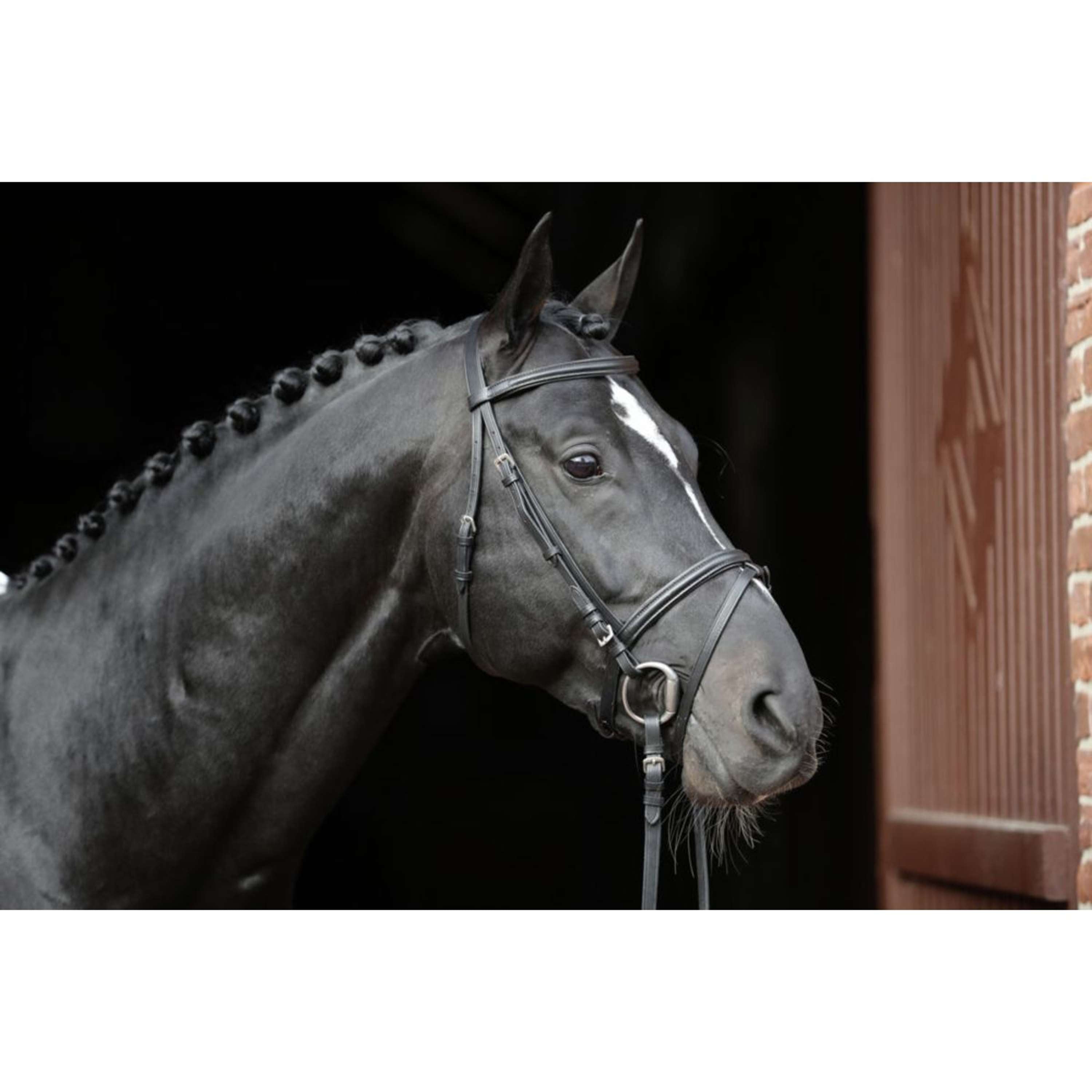 Kerbl Bridle Standard Eurohorse Black