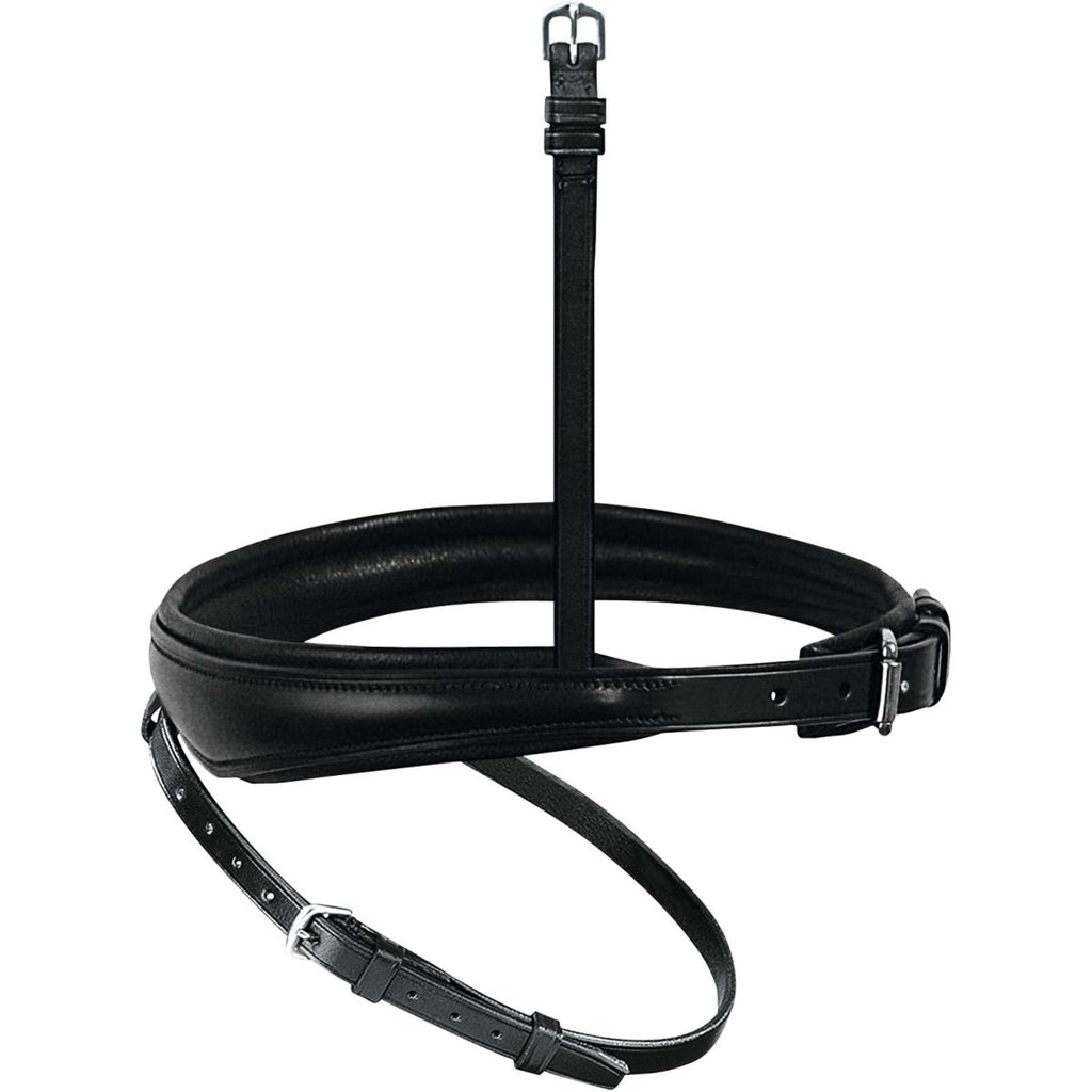 Passier Nose Band English Combined Anatomic Black/Silver
