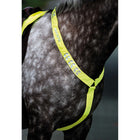 Equi-Flector by Shires Front Strap Reflective Fluor Yellow