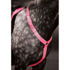 Equi-Flector by Shires Front Strap Reflective Fluor Pink