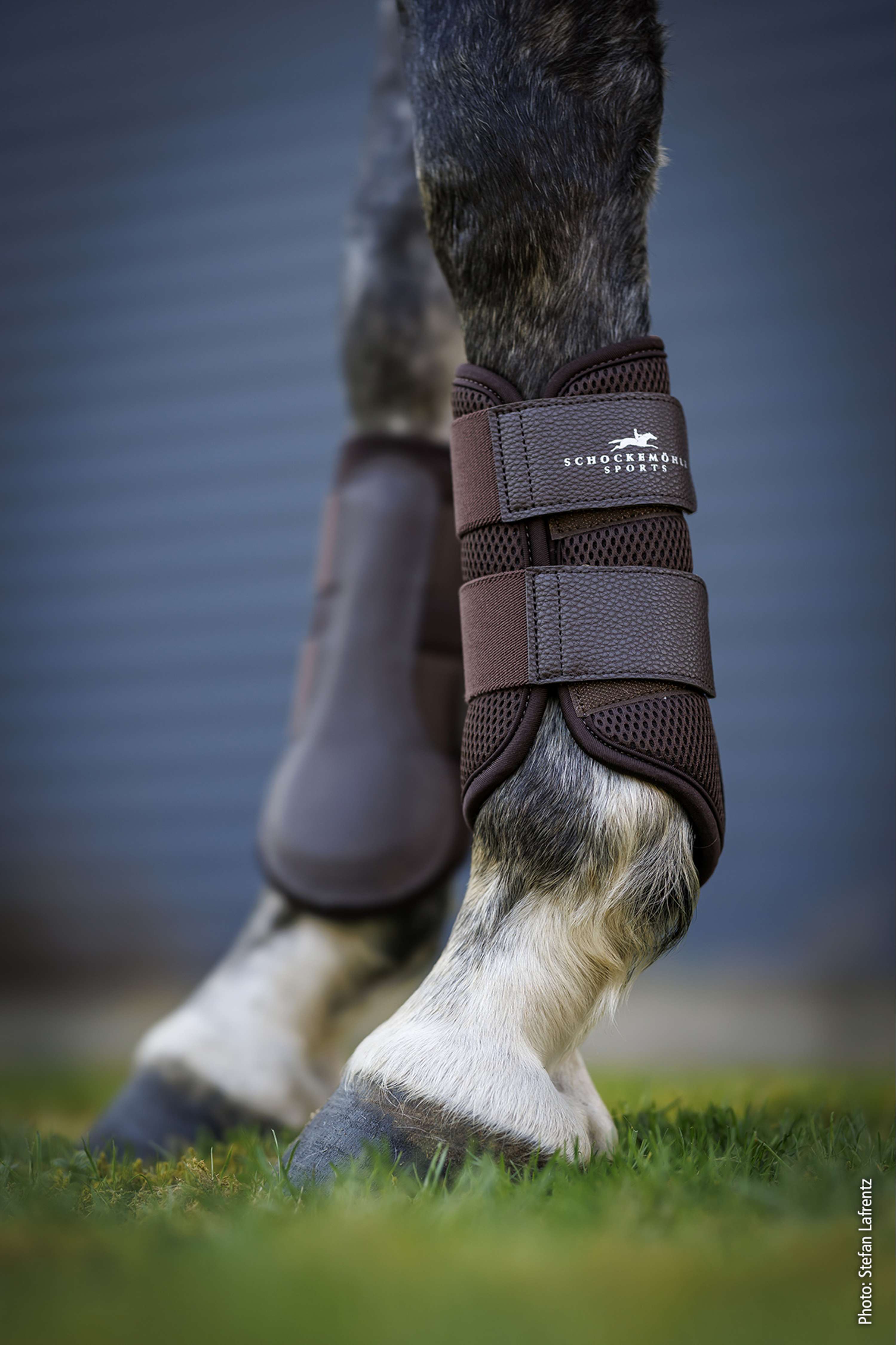 Schockemöhle Leg Protectors Mesh Guards Mocca