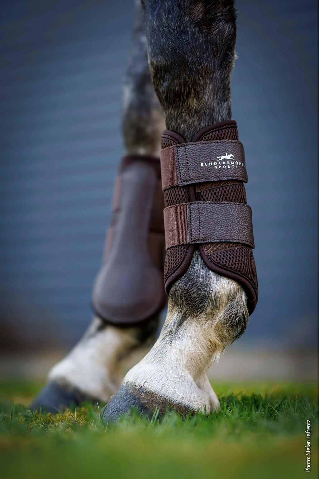Schockemöhle Leg Protectors Mesh Guards Mocca