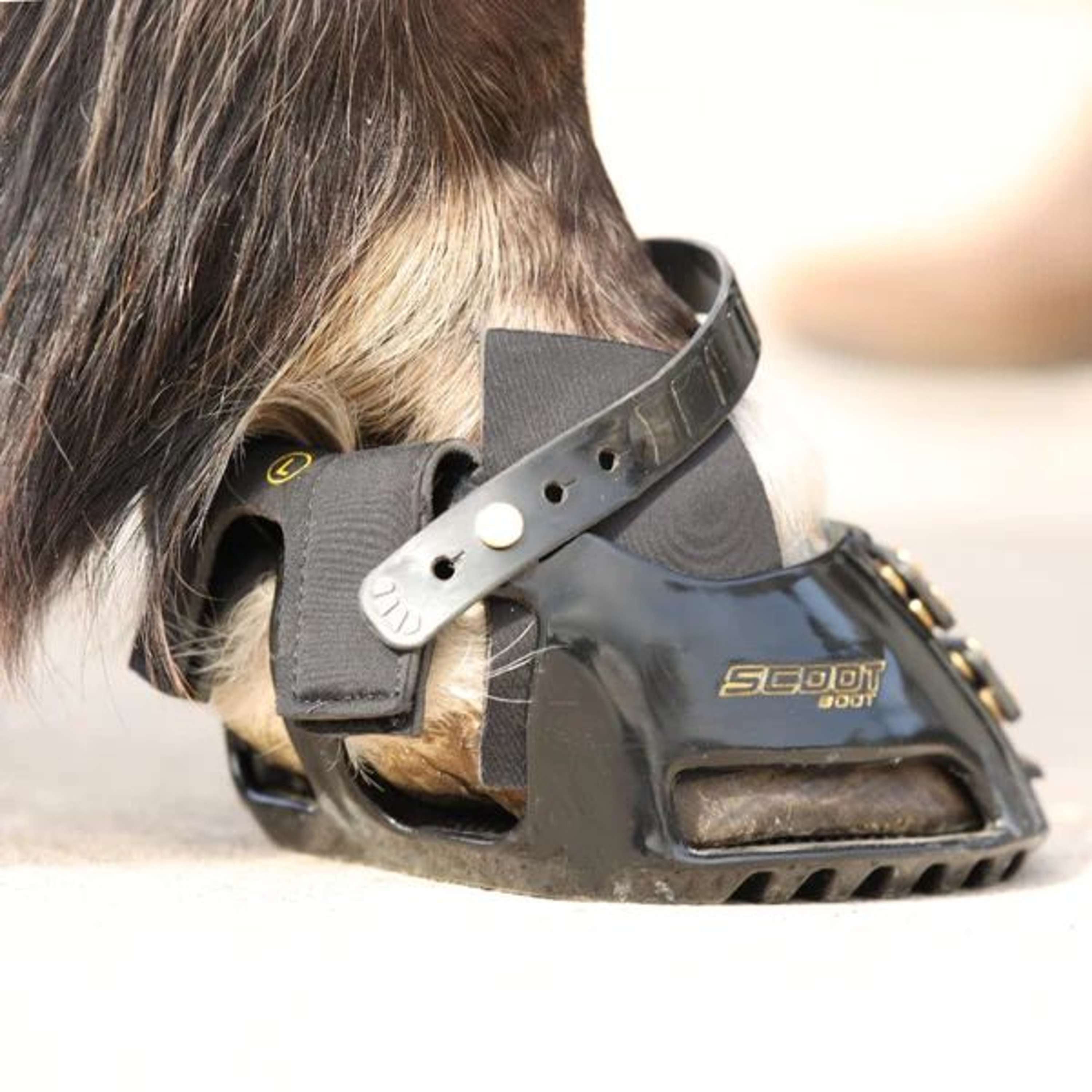 Scoot Boot Hybrid Gaiter Black