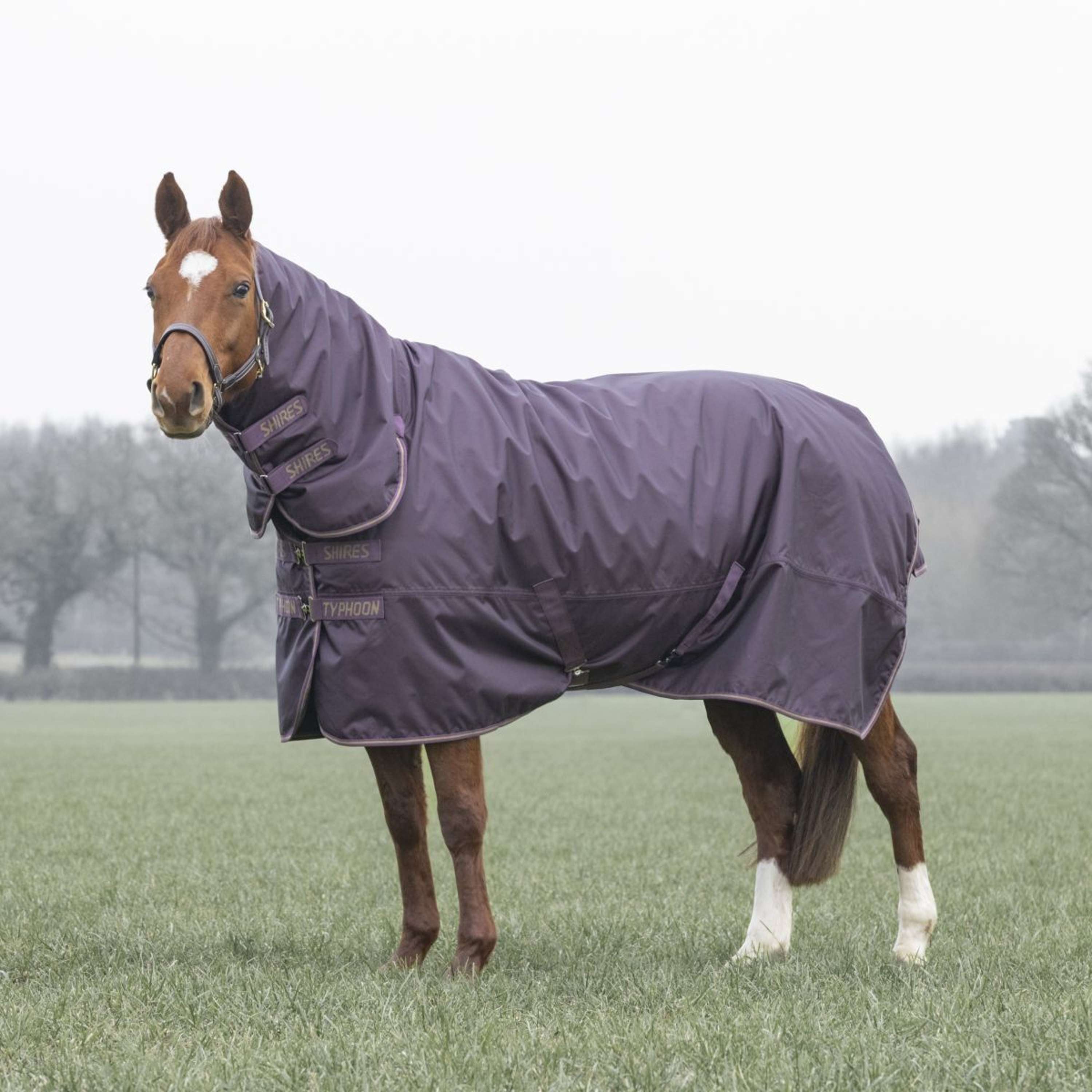 Tempest by Shires Winter Rug Turnout Typhoon 100g Black Cherry