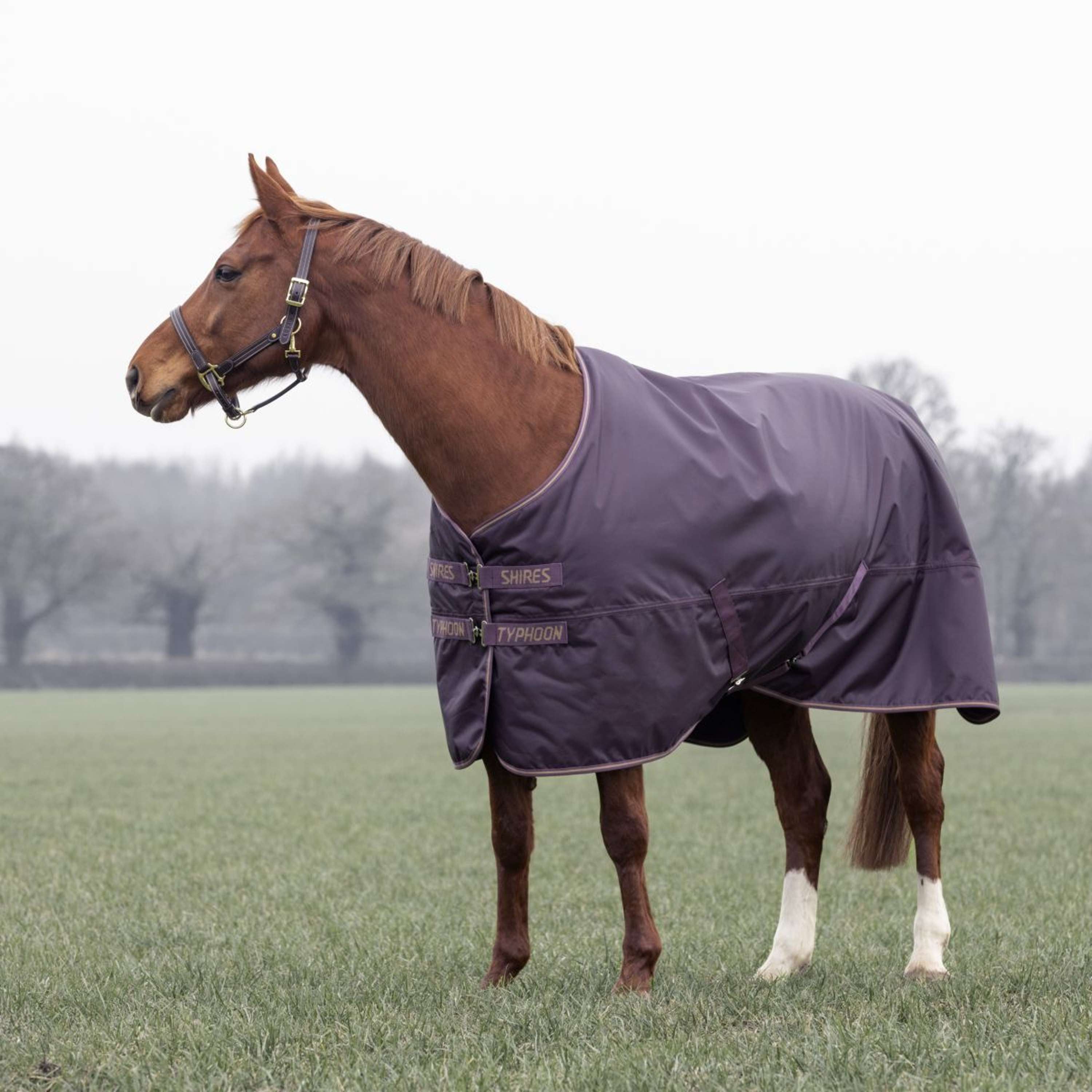 Tempest by Shires Winter Rug Turnout Typhoon 100g Black Cherry