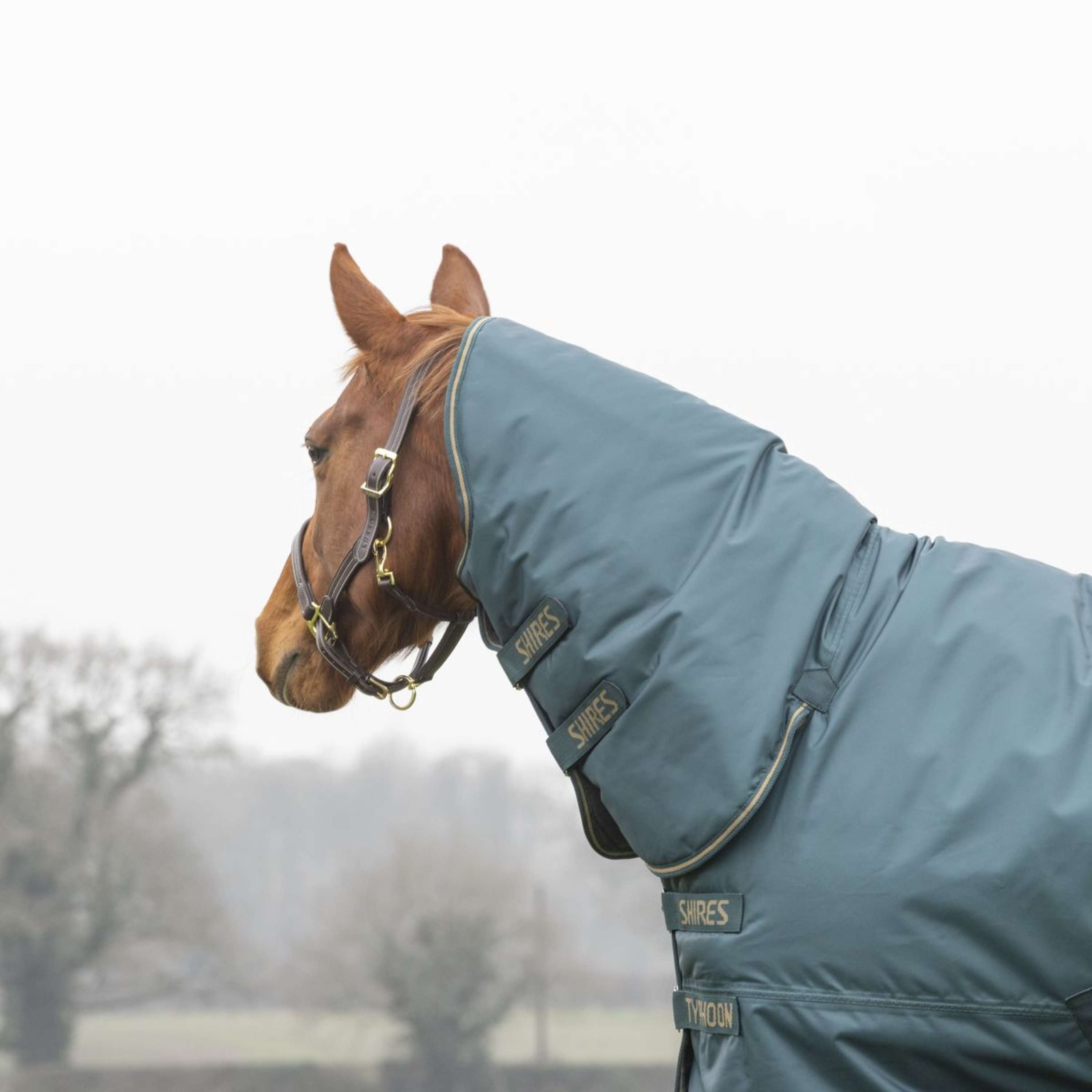 Tempest by Shires Winter Rug Turnout Typhoon 200g Green