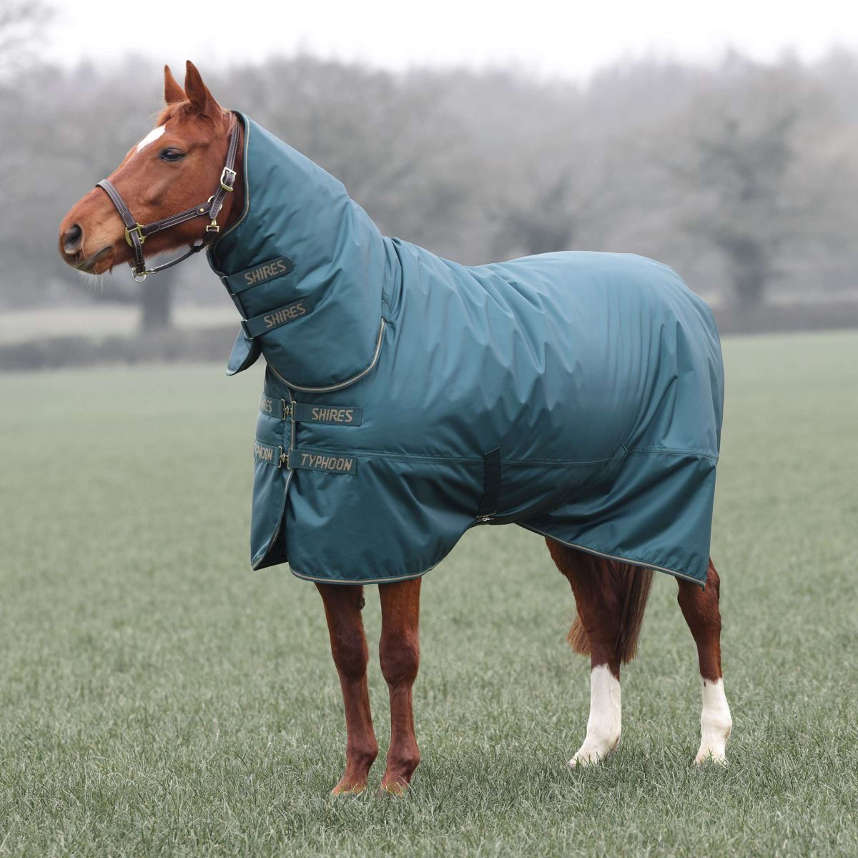 Tempest by Shires Winter Rug Turnout Typhoon 200g Green