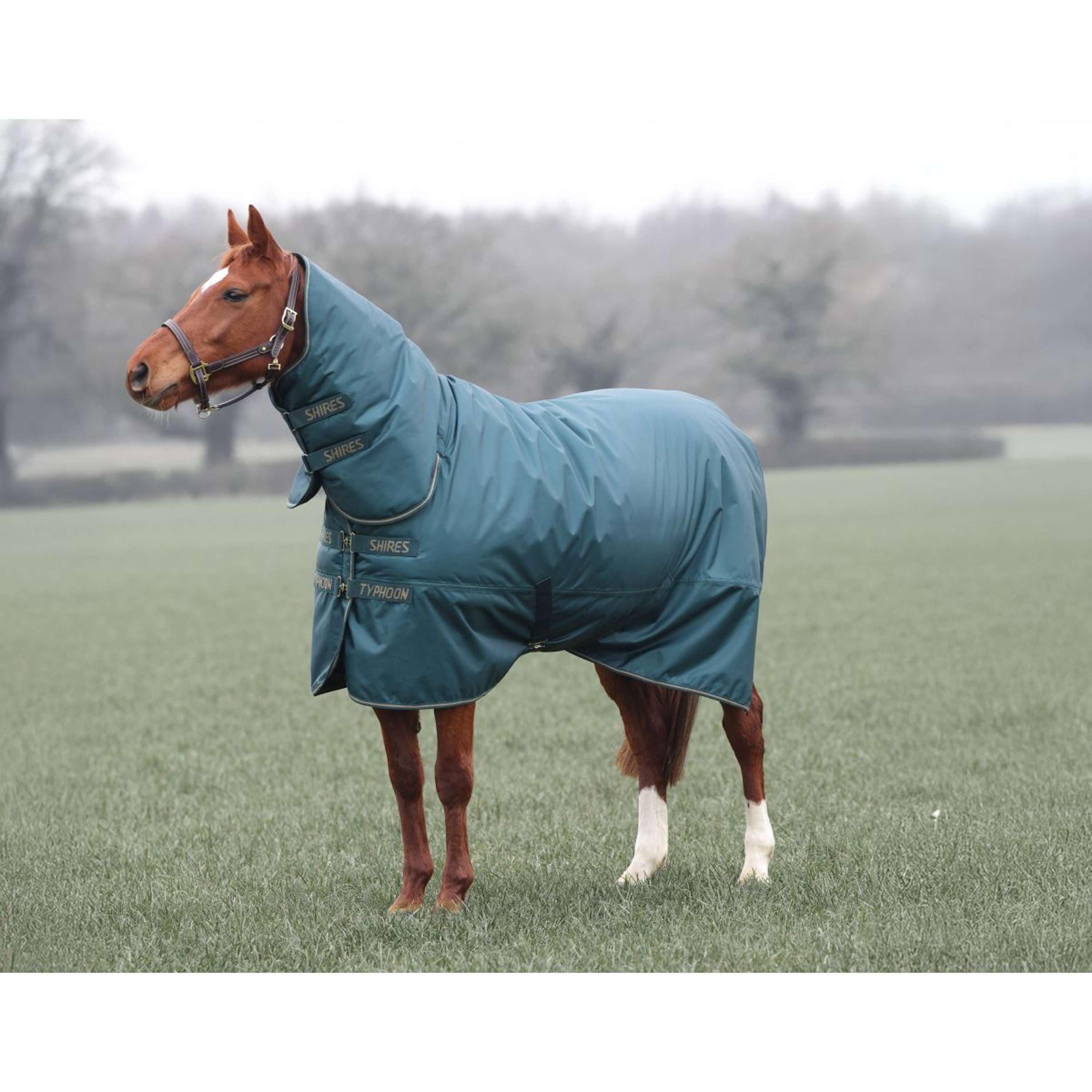Tempest by Shires Winter Rug Turnout Typhoon 200g Green