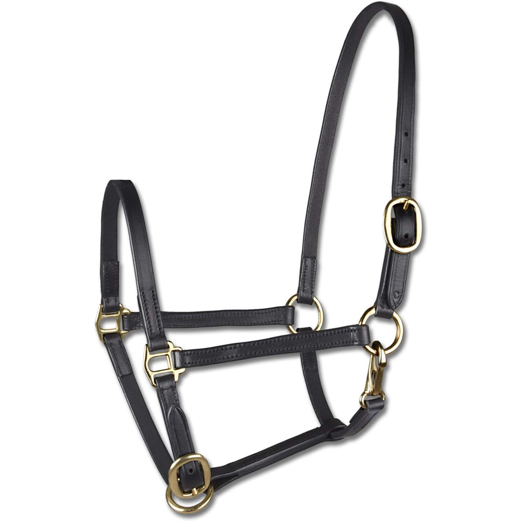 Star Show Halter Foal Black