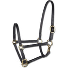 Star Show Halter Foal Black