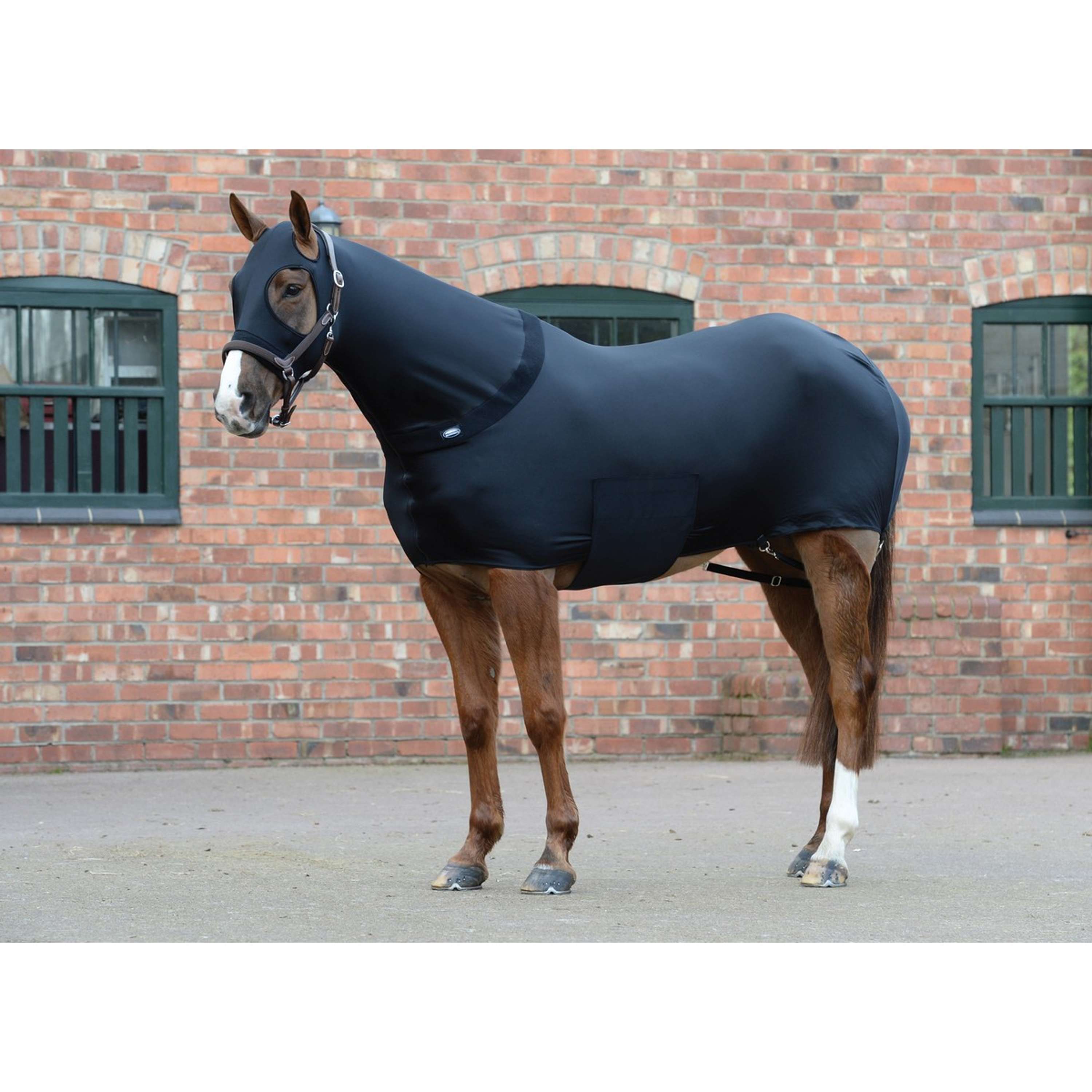 WeatherBeeta Rug Stretch Black