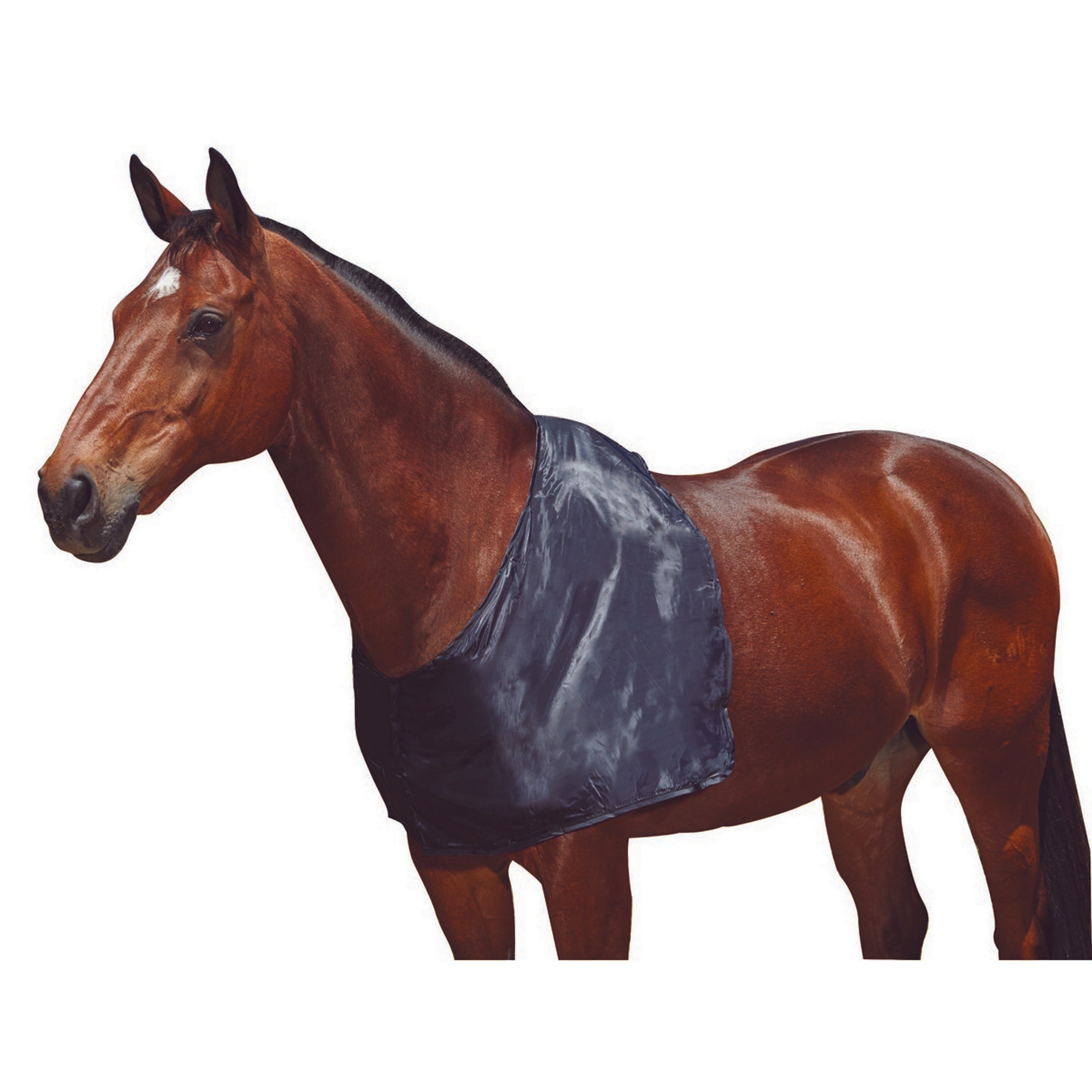 WeatherBeeta Shoulder Guard Satin Black