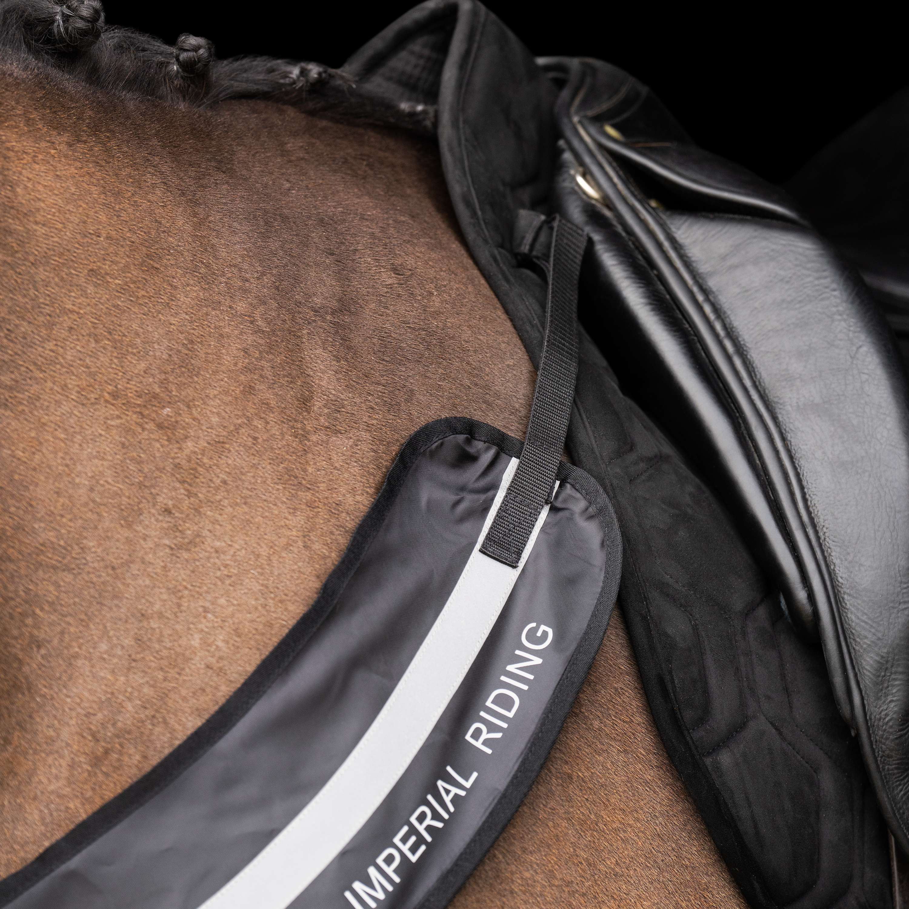 Imperial Riding Chest Buckle IRHLuminous Black