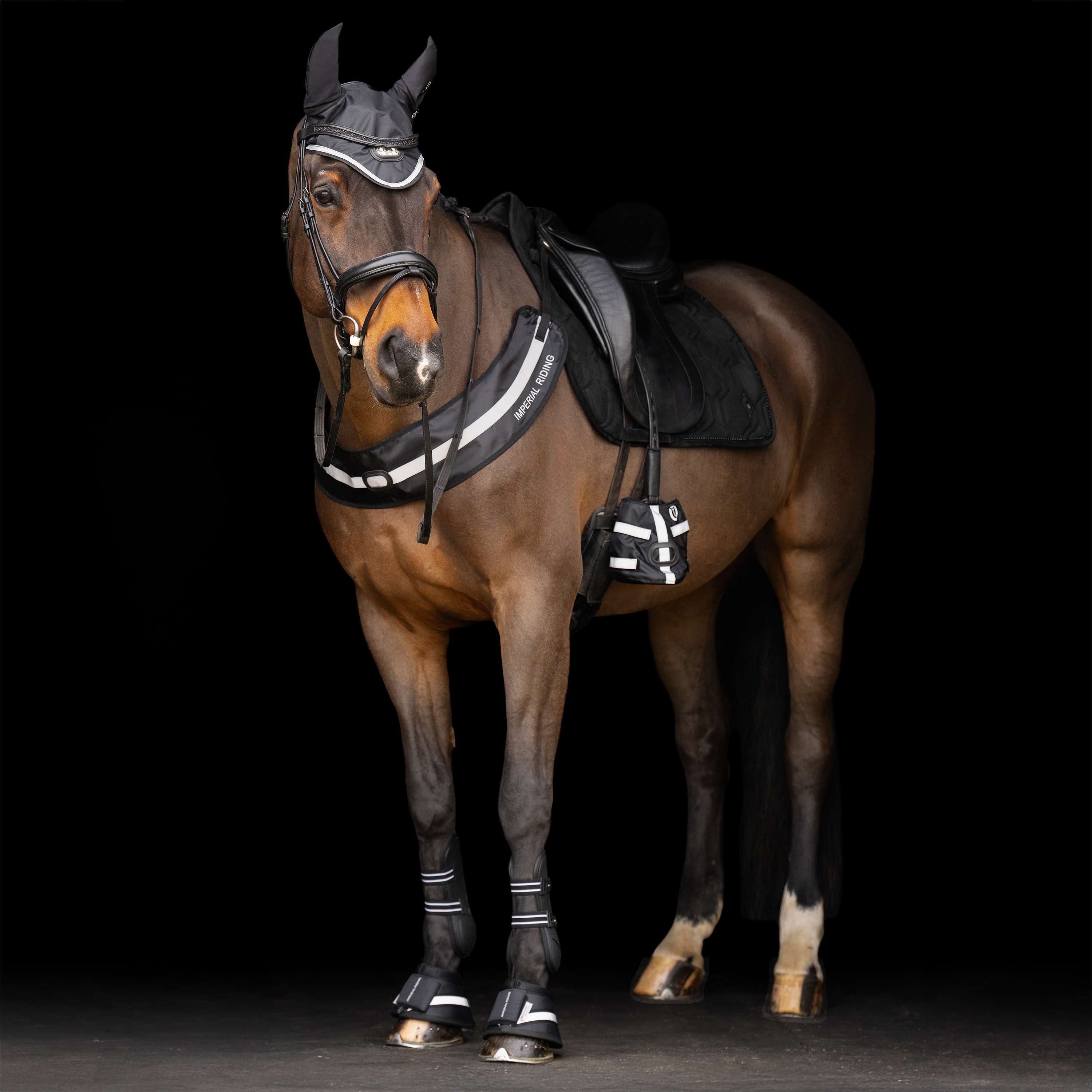 Imperial Riding Chest Buckle IRHLuminous Black