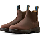 Ariat Jodphurs Cooper Women Brunette