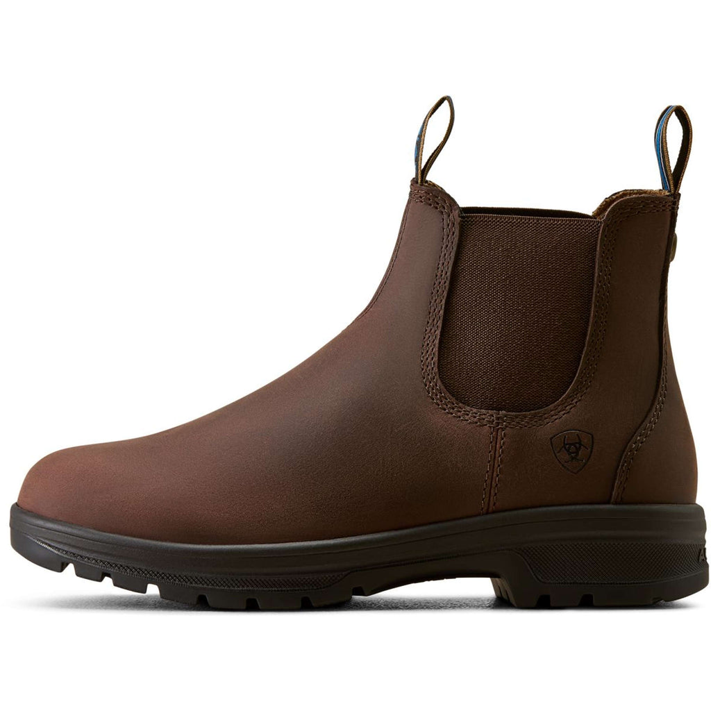 Ariat Jodphurs Cooper Women Brunette