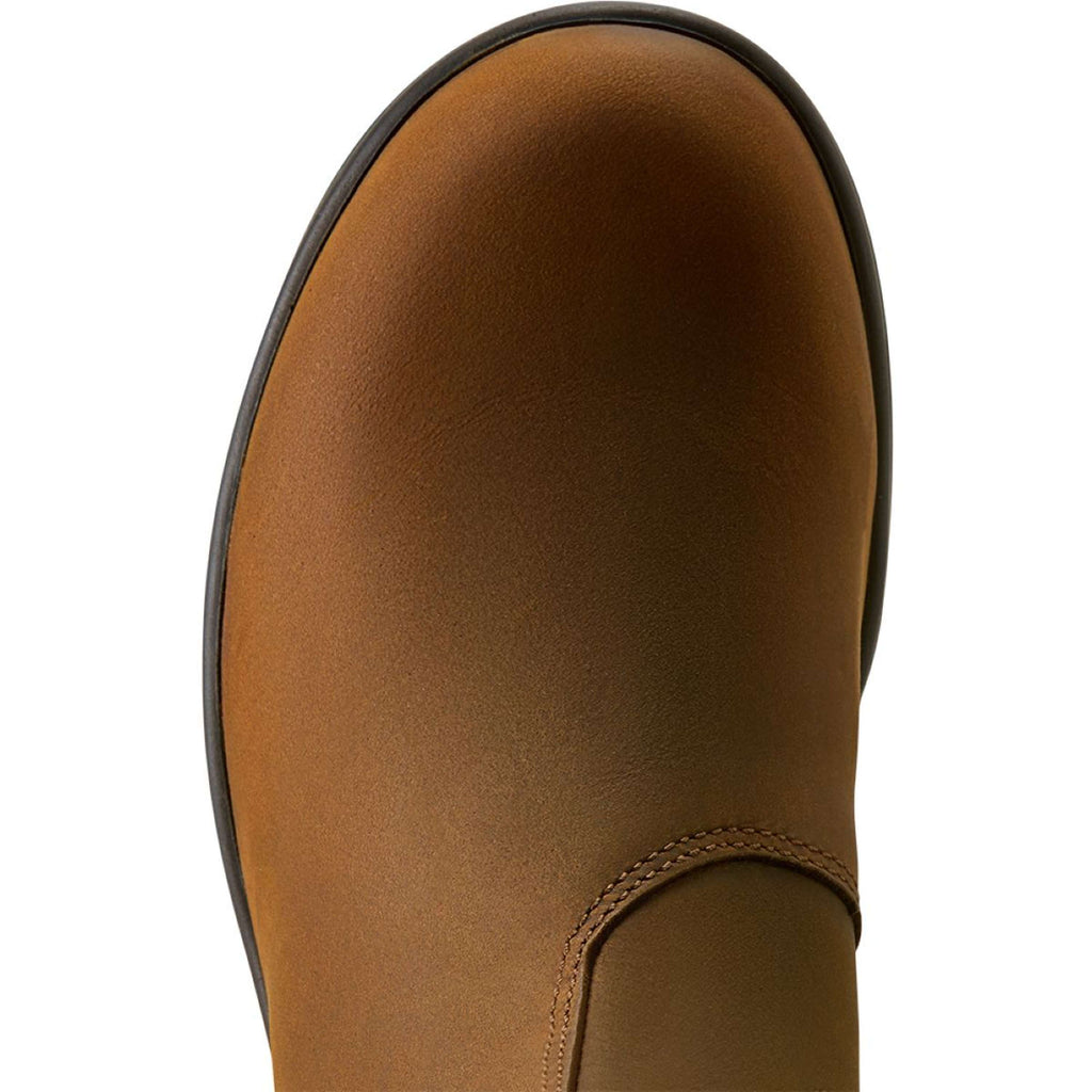 Ariat Jodphurs Cooper Women Distressed Copper