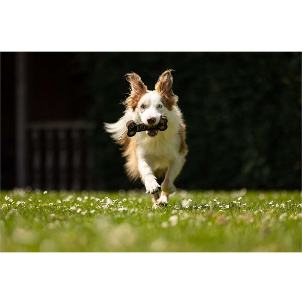 BR Dog Toy Bone