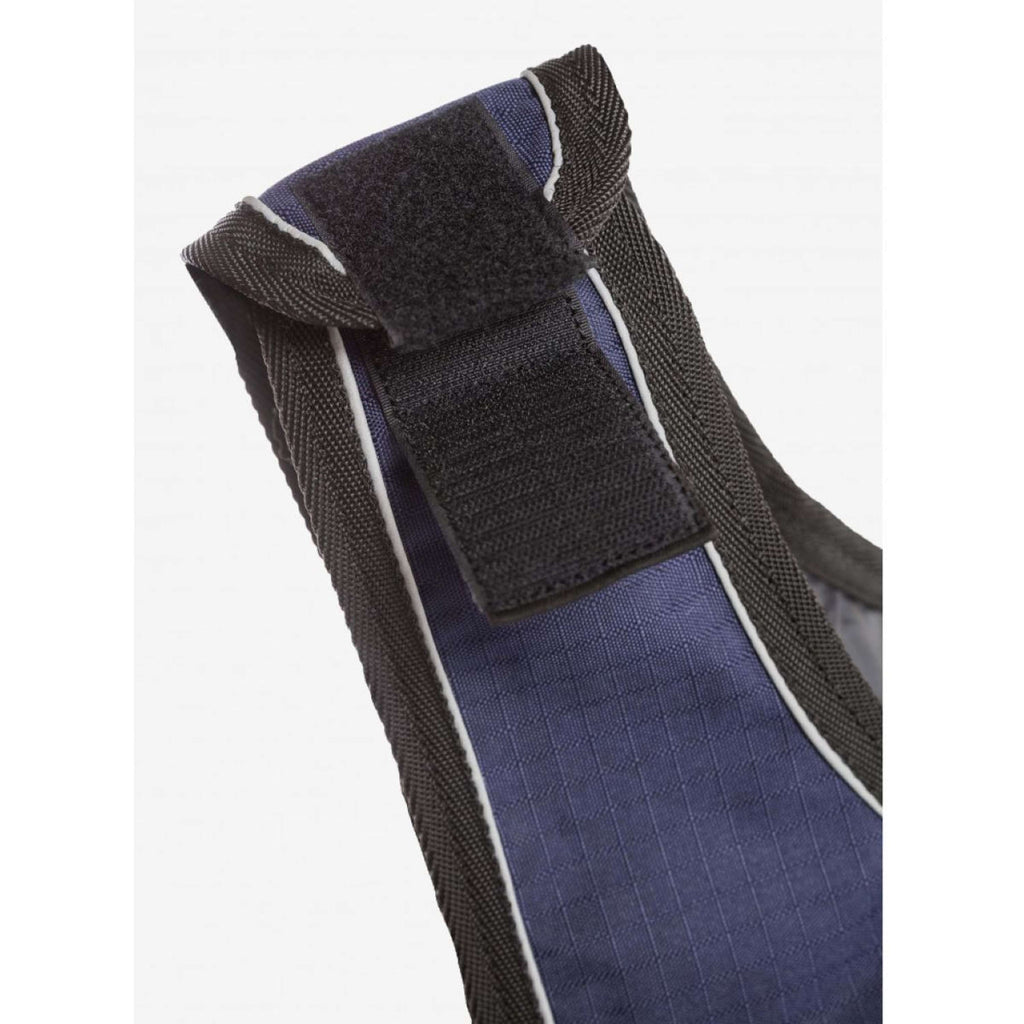 Back on Track Exercise Rug Sammy Blue
