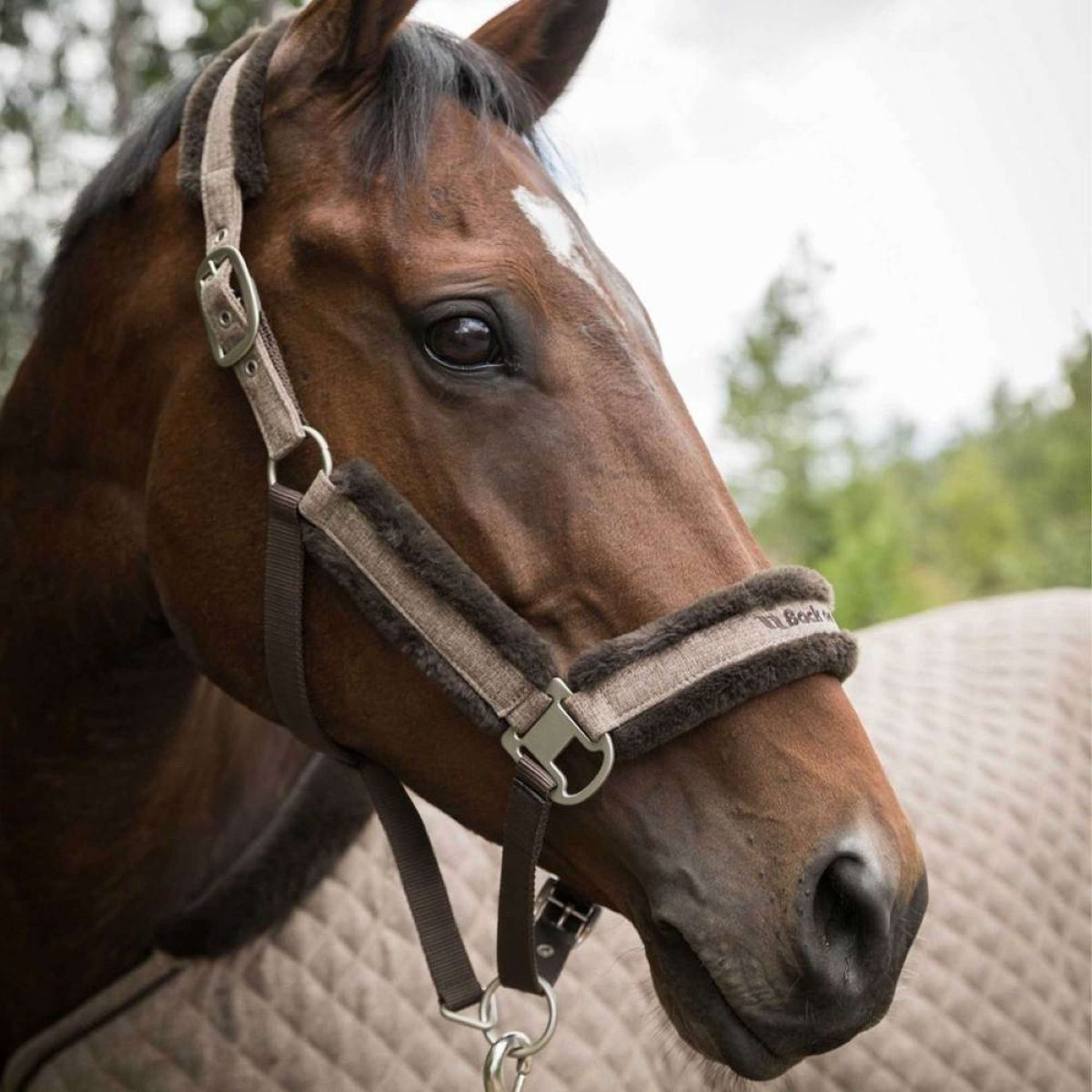 Back on Track Halter Haze Brown