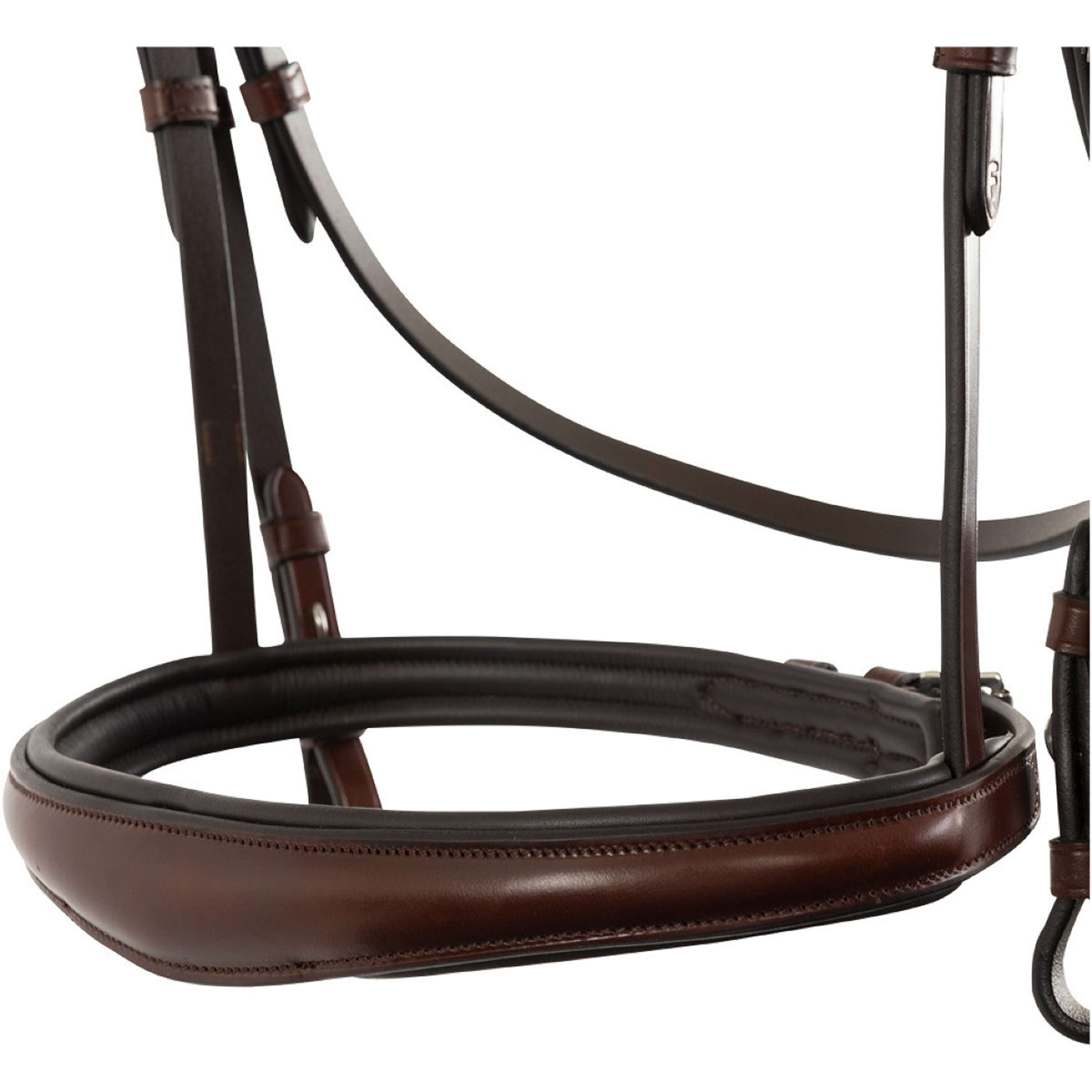 BR Bridle Southall Oak/Silver