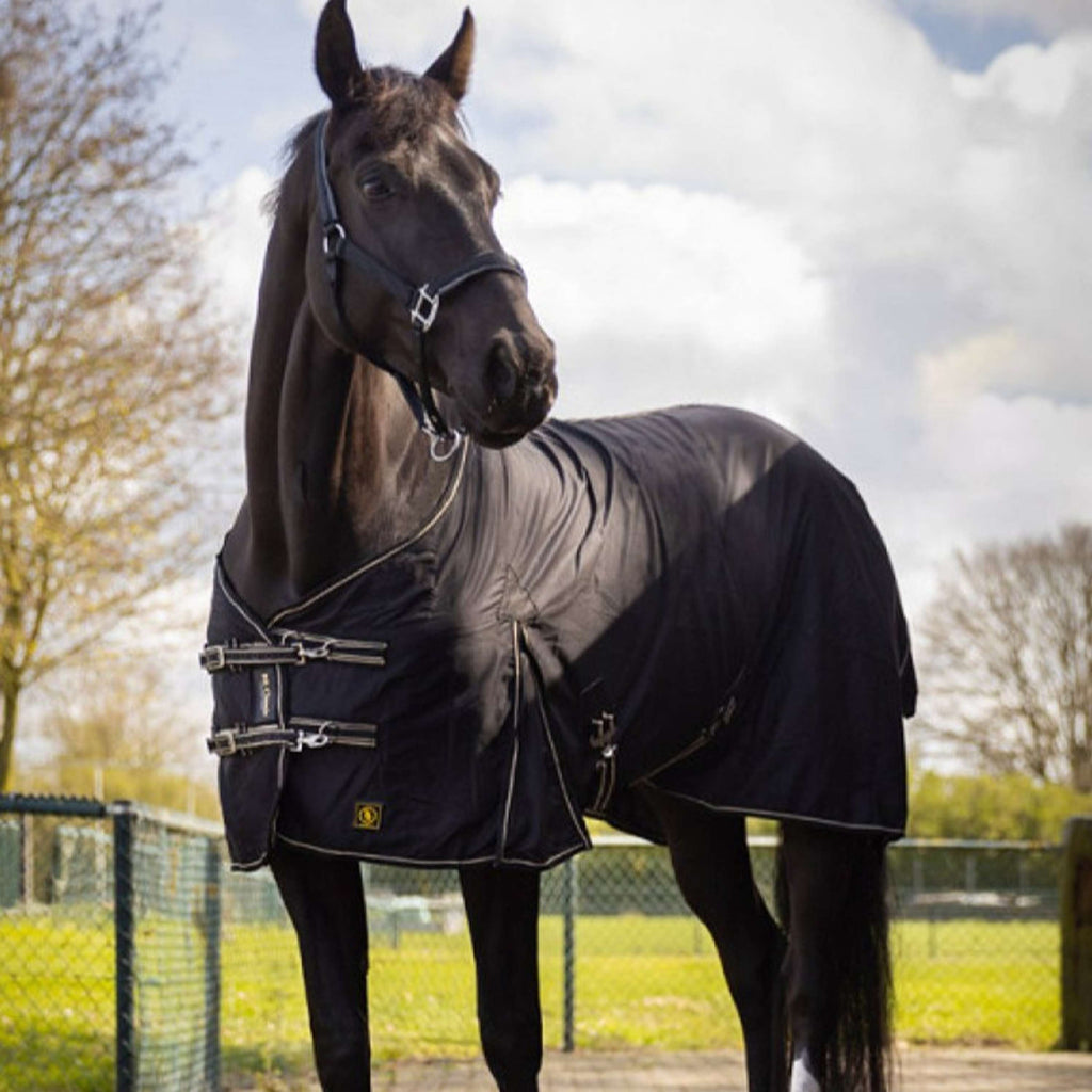 BR Rug Classic Cotton Black