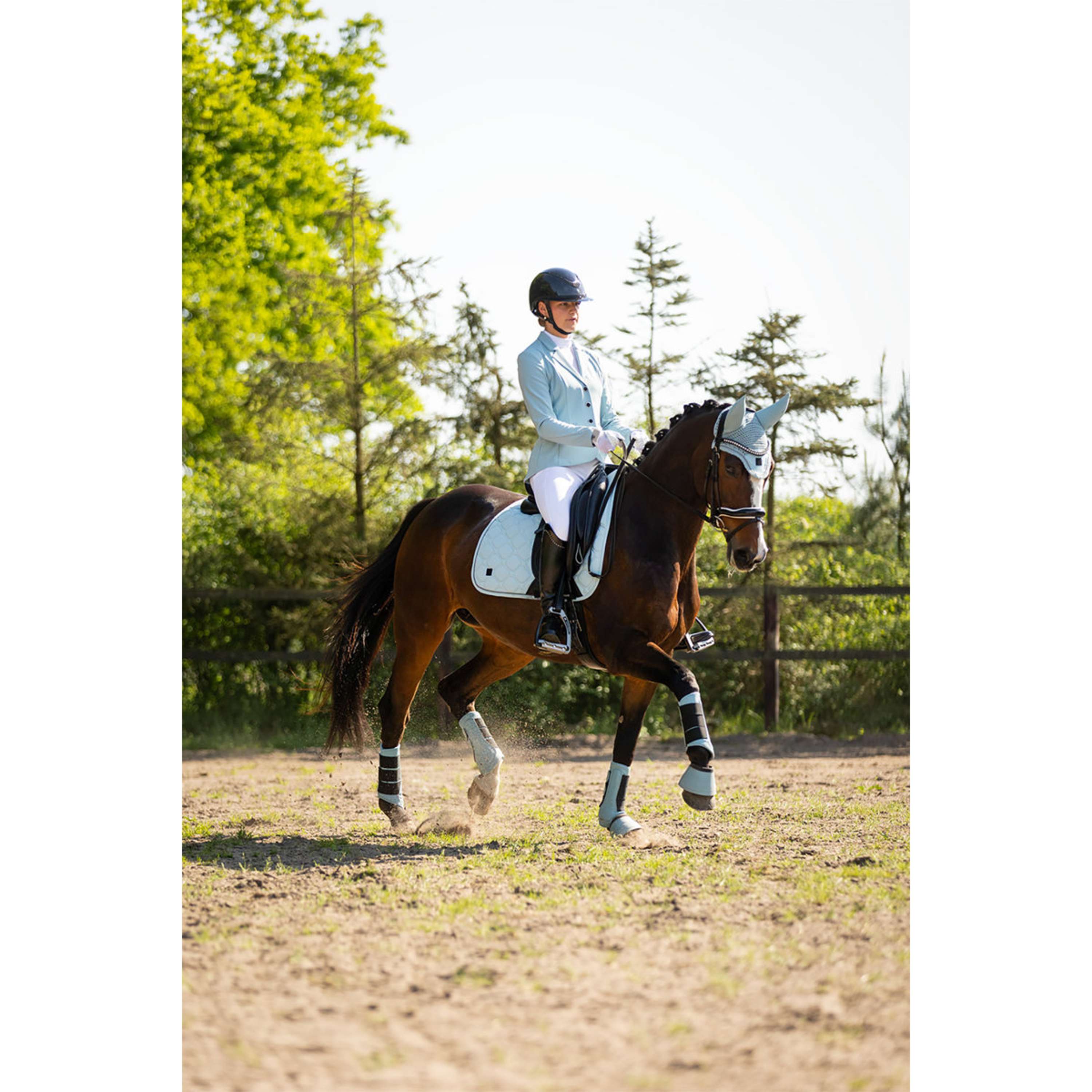 BR Dressage Boots Majestic Kamilla Tourmaline