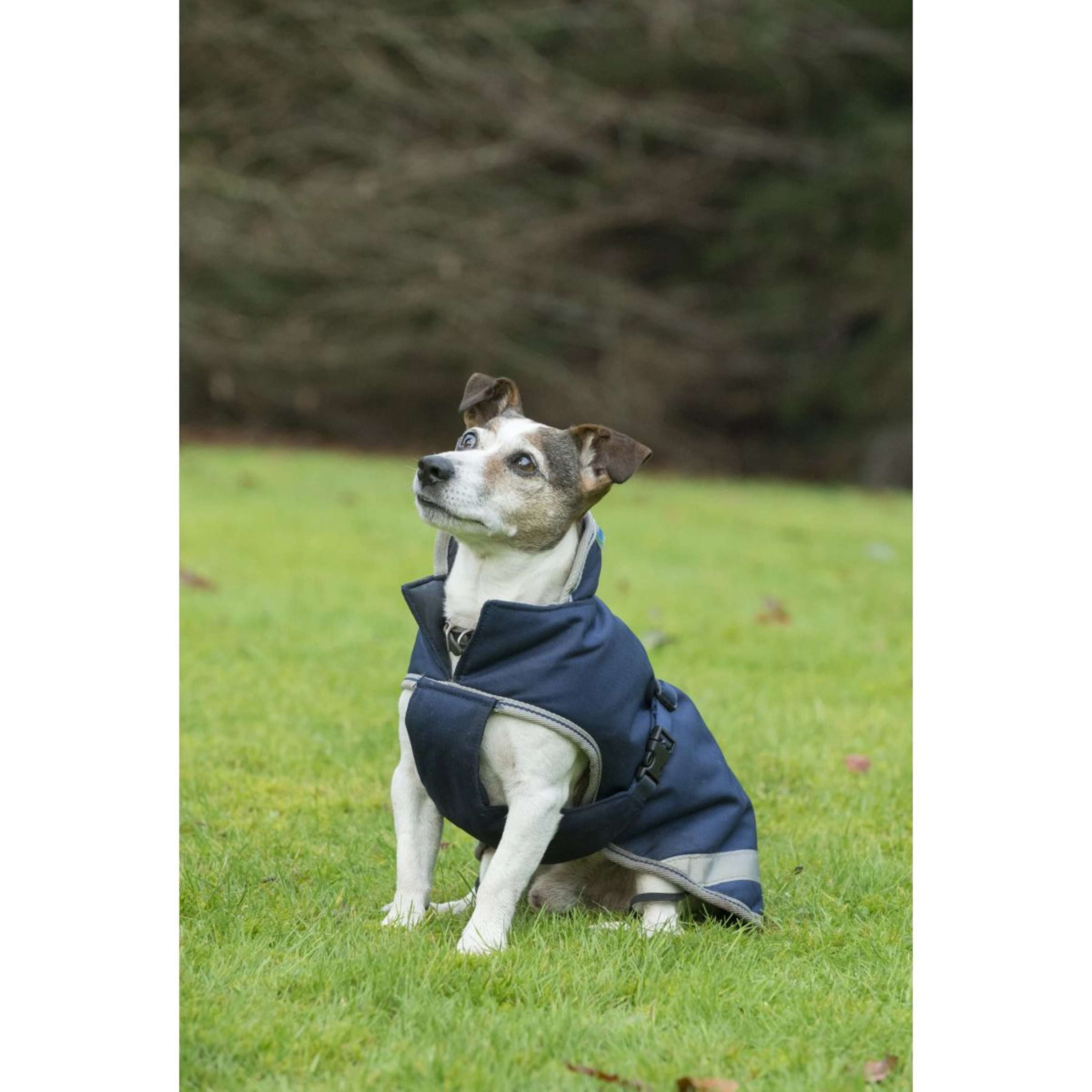Bucas Freedom Dog Rug 300g Navy