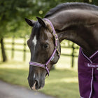 Bucas Halter Dublin Blackberry