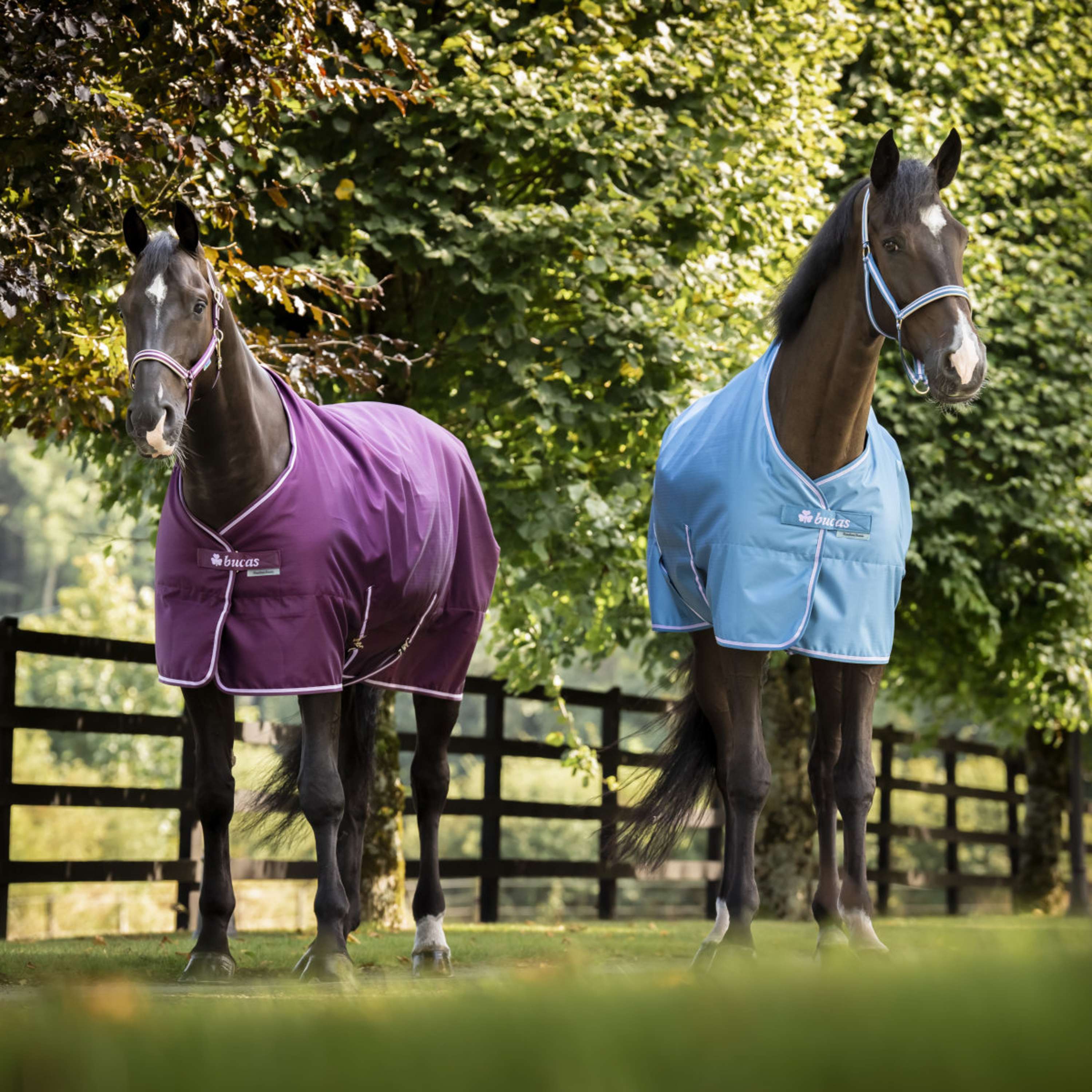 Bucas Freedom Stable Rug 300g Blackberry