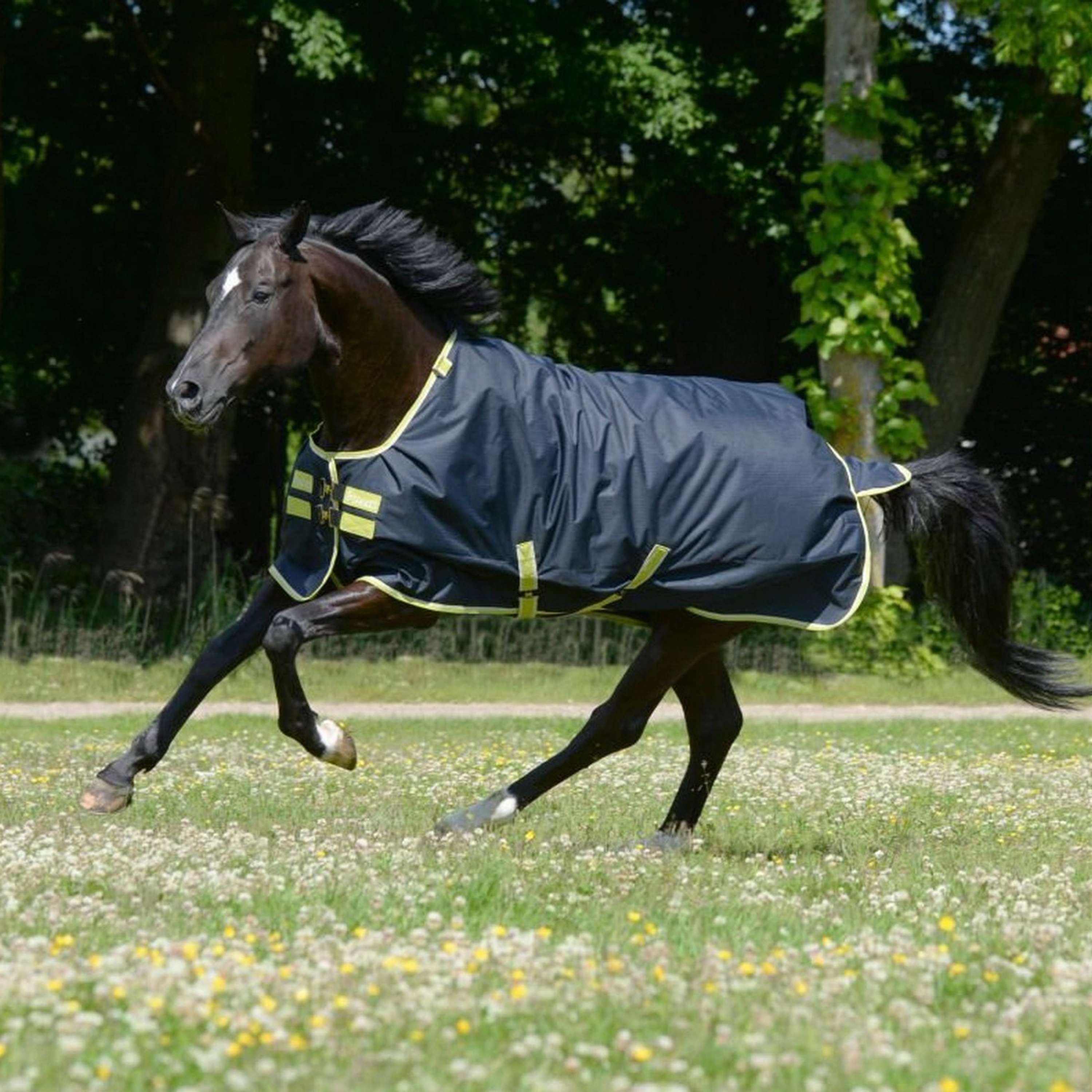 Bucas Oasis Turnout Neck 200g Dark Grey/Lime