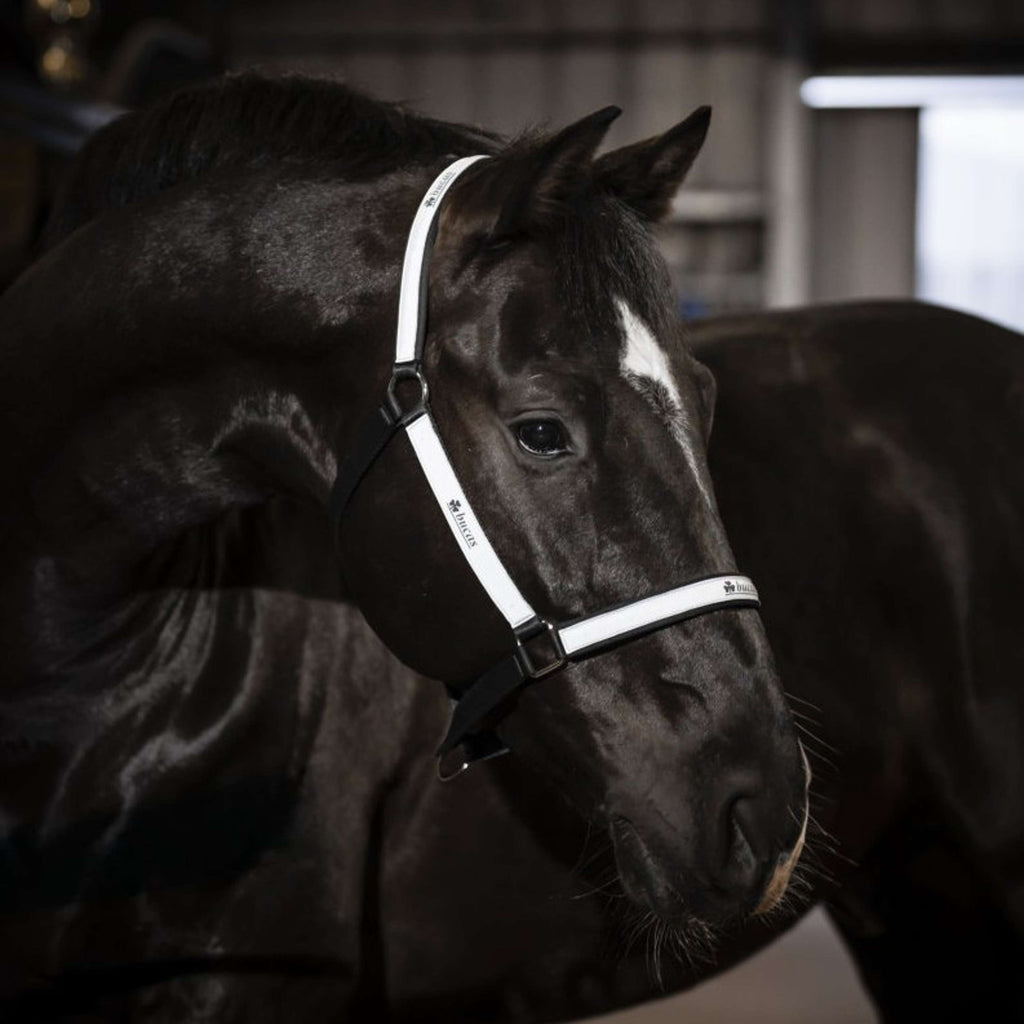 Bucas Halter Reflectglow Reflectglow