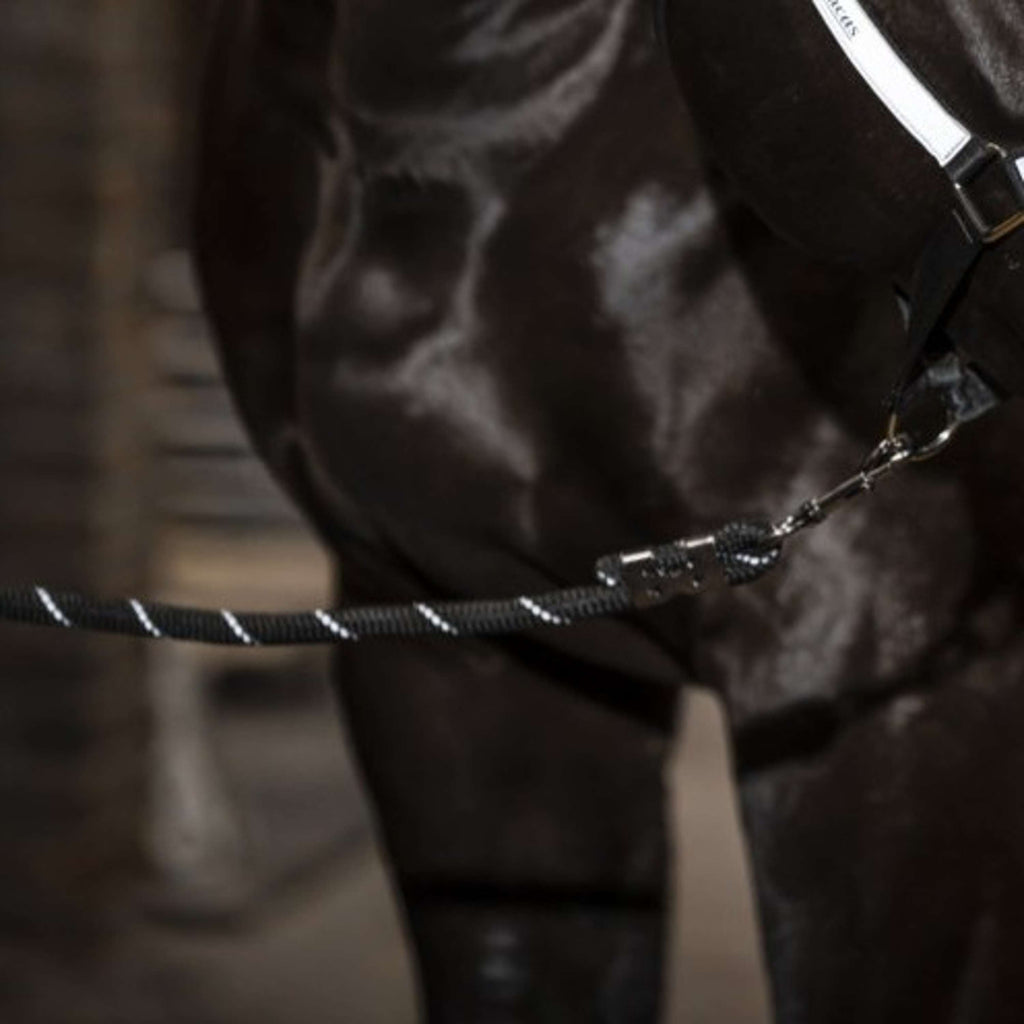 Bucas Lead Rope Reflectglow with Carabiner Reflectglow