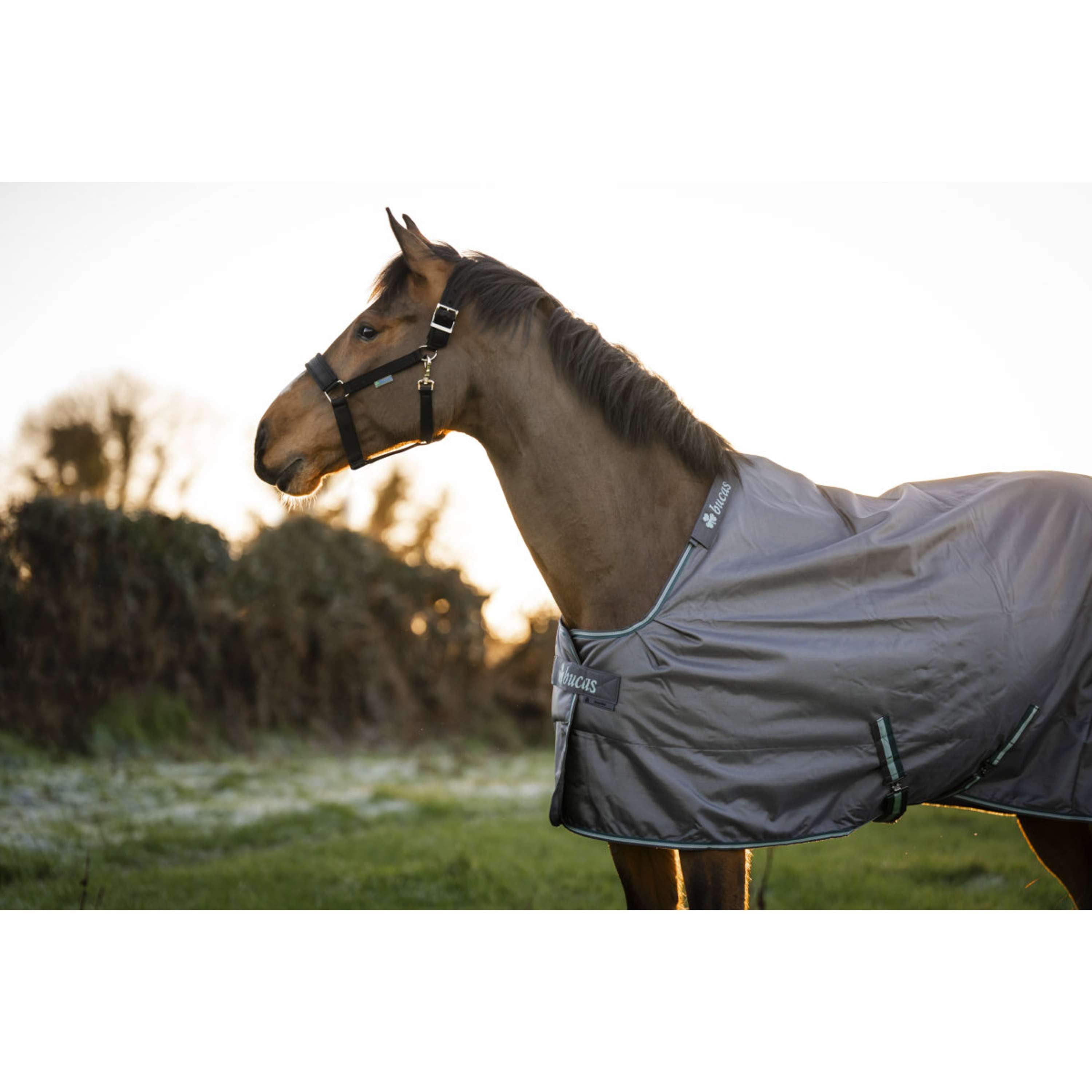 Bucas Smartex Rain 0g Iron Gate/Teal