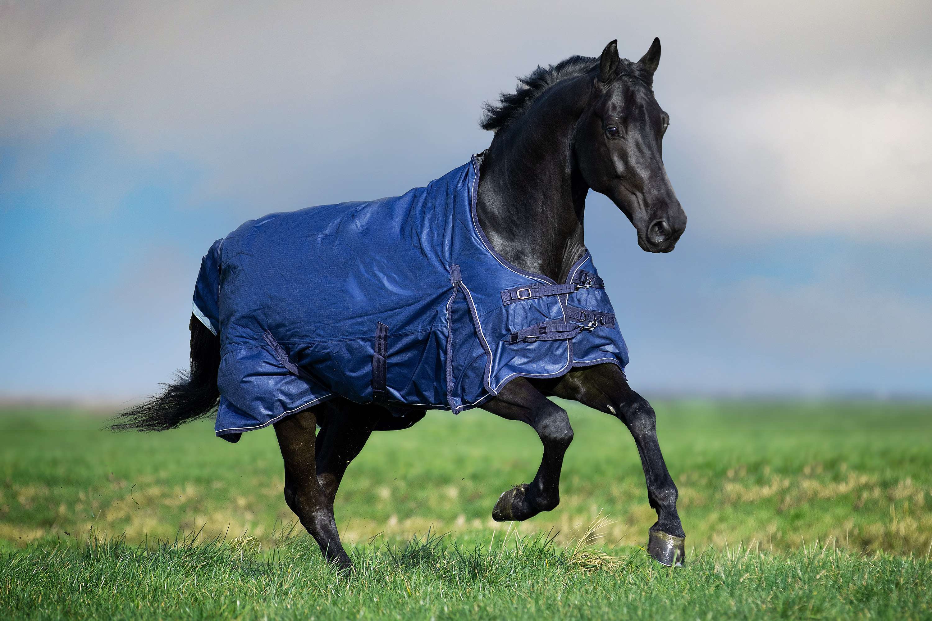 Imperial Riding Outdoor Rug IRHSuper-Dry 100g Navy